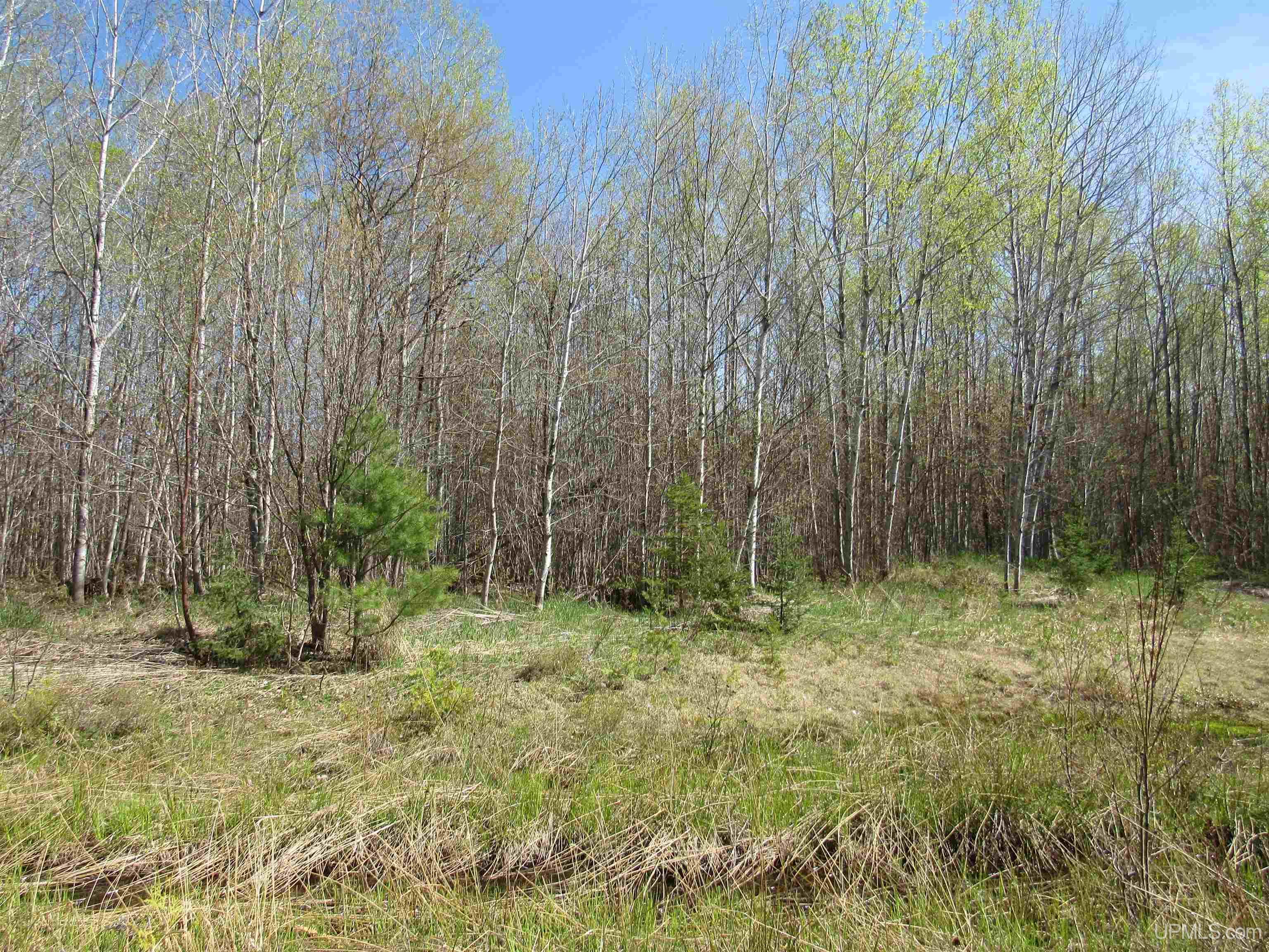 MLS 50142898 Large photo number 11 