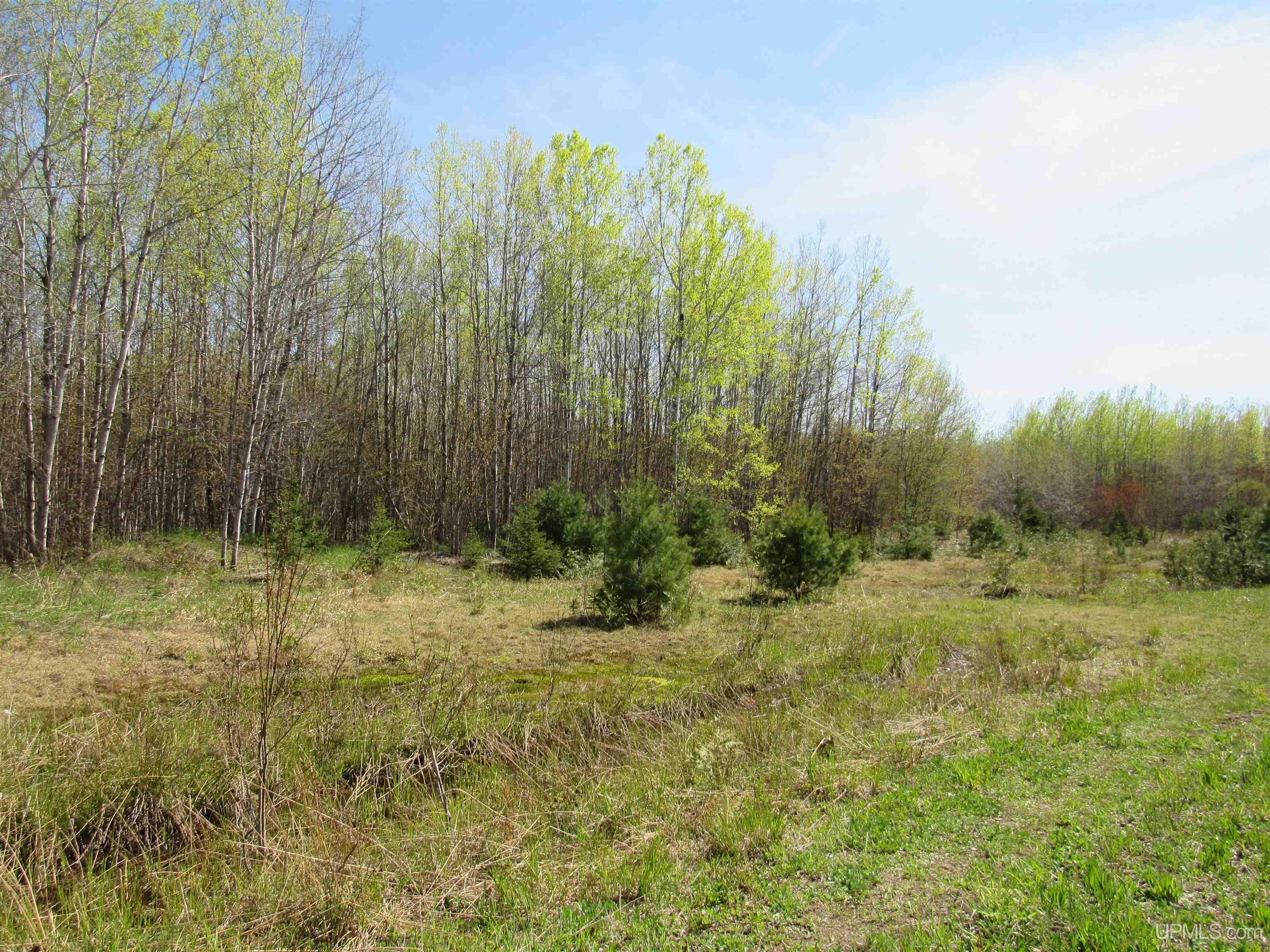 MLS 50142898 Large photo number 12 