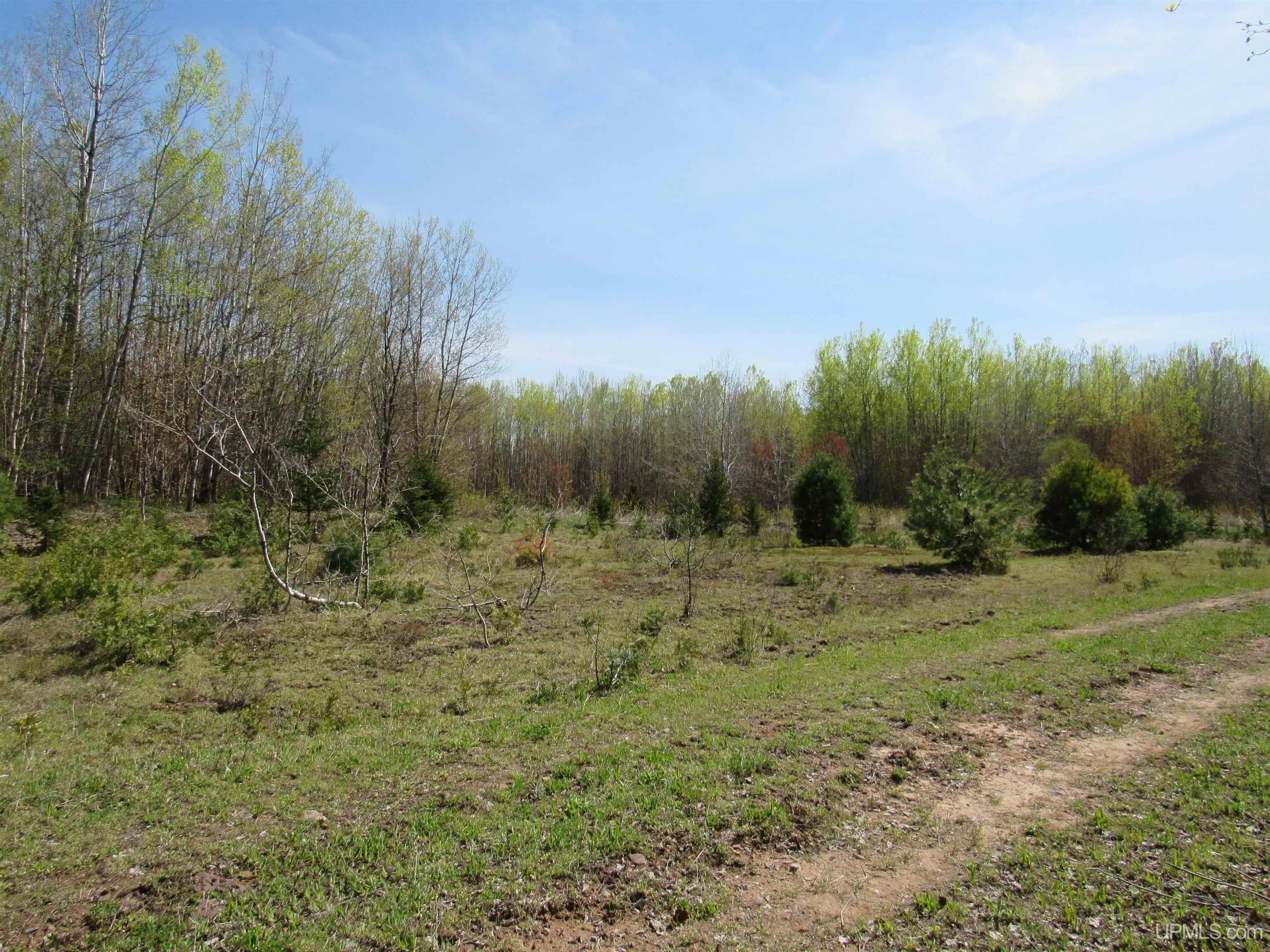 MLS 50142898 Large photo number 14 