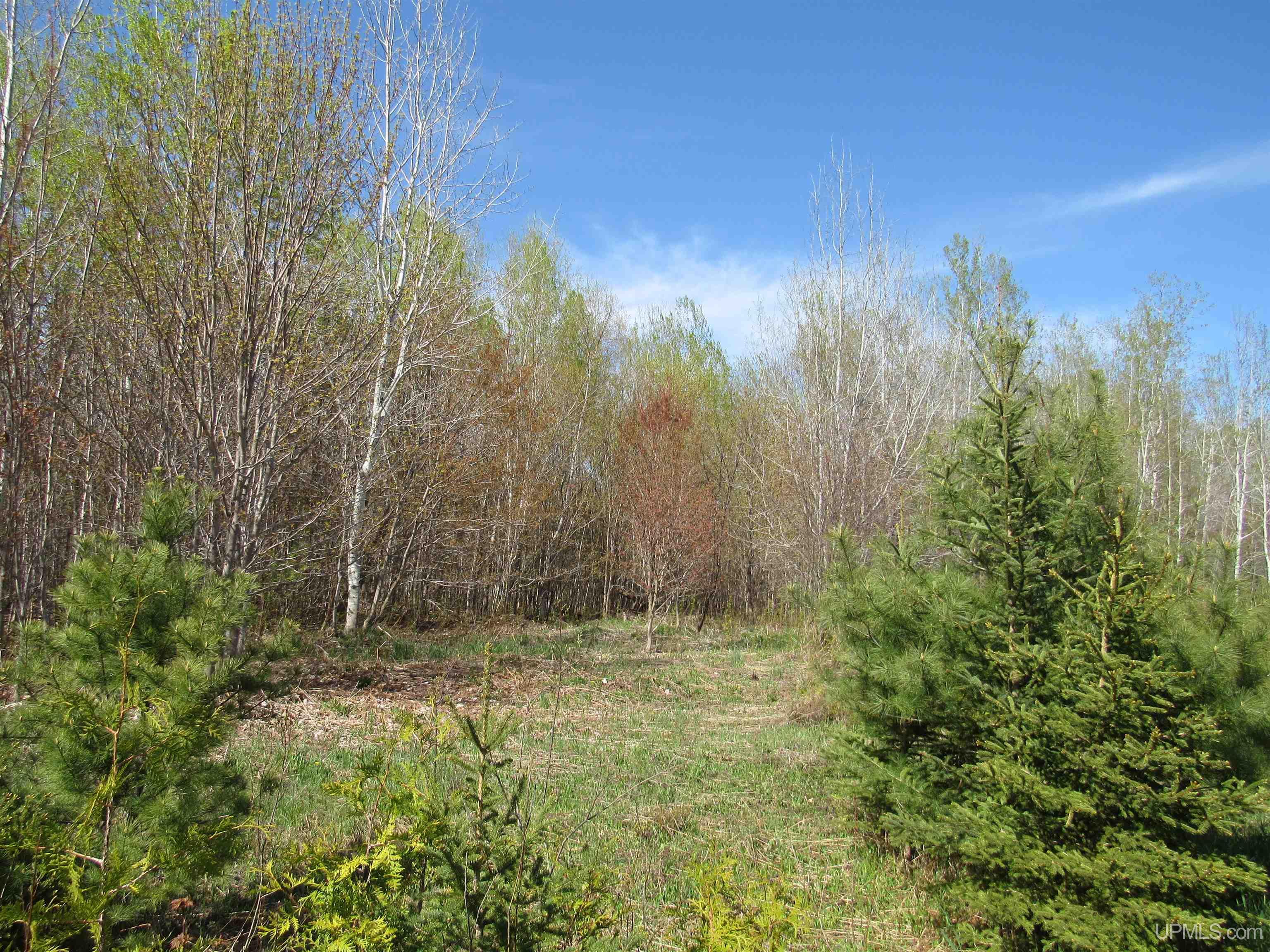 MLS 50142898 Large photo number 17 