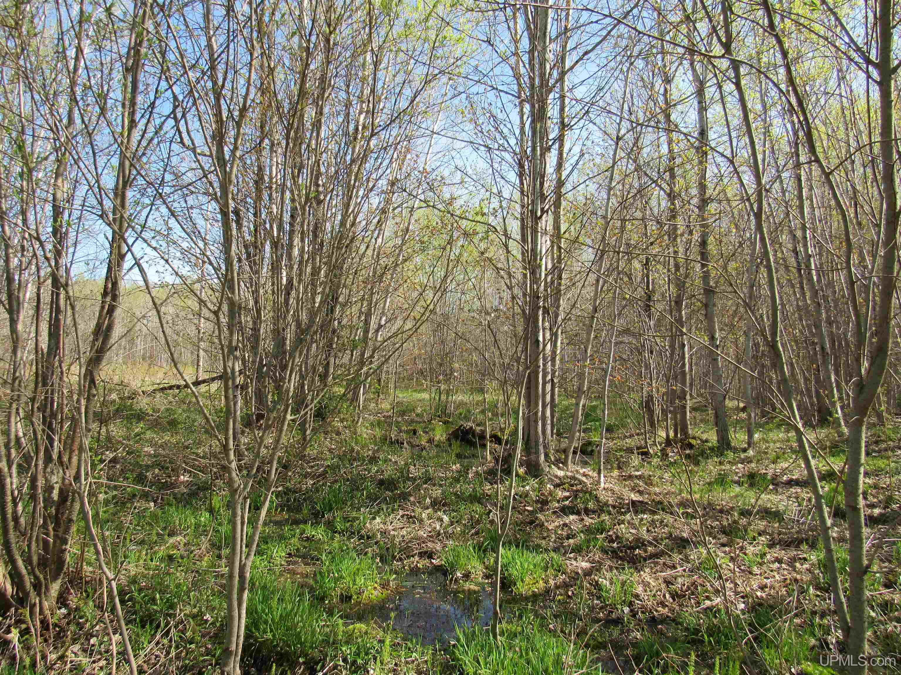 MLS 50142898 Large photo number 19 