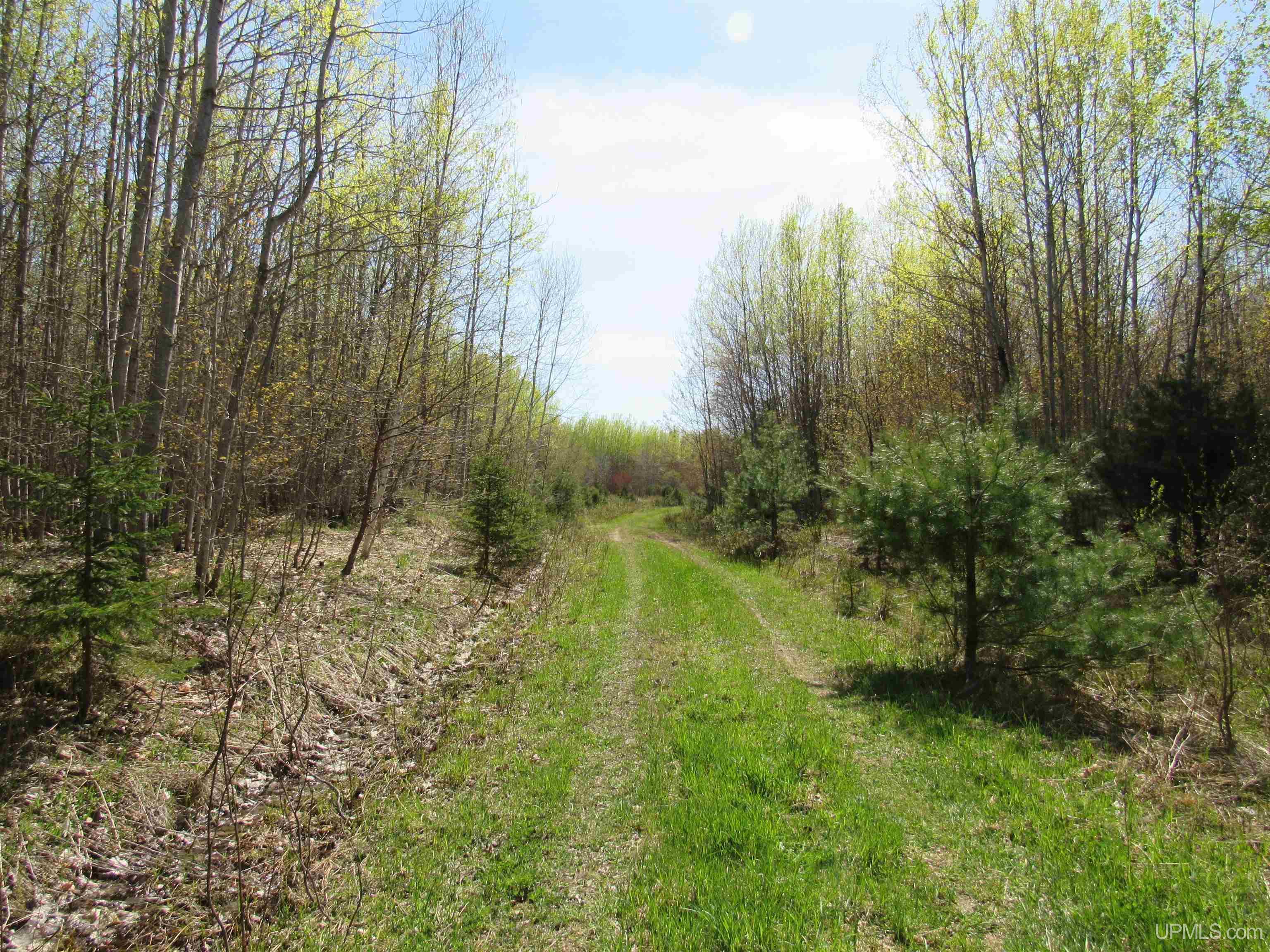 MLS 50142898 Large photo number 3 