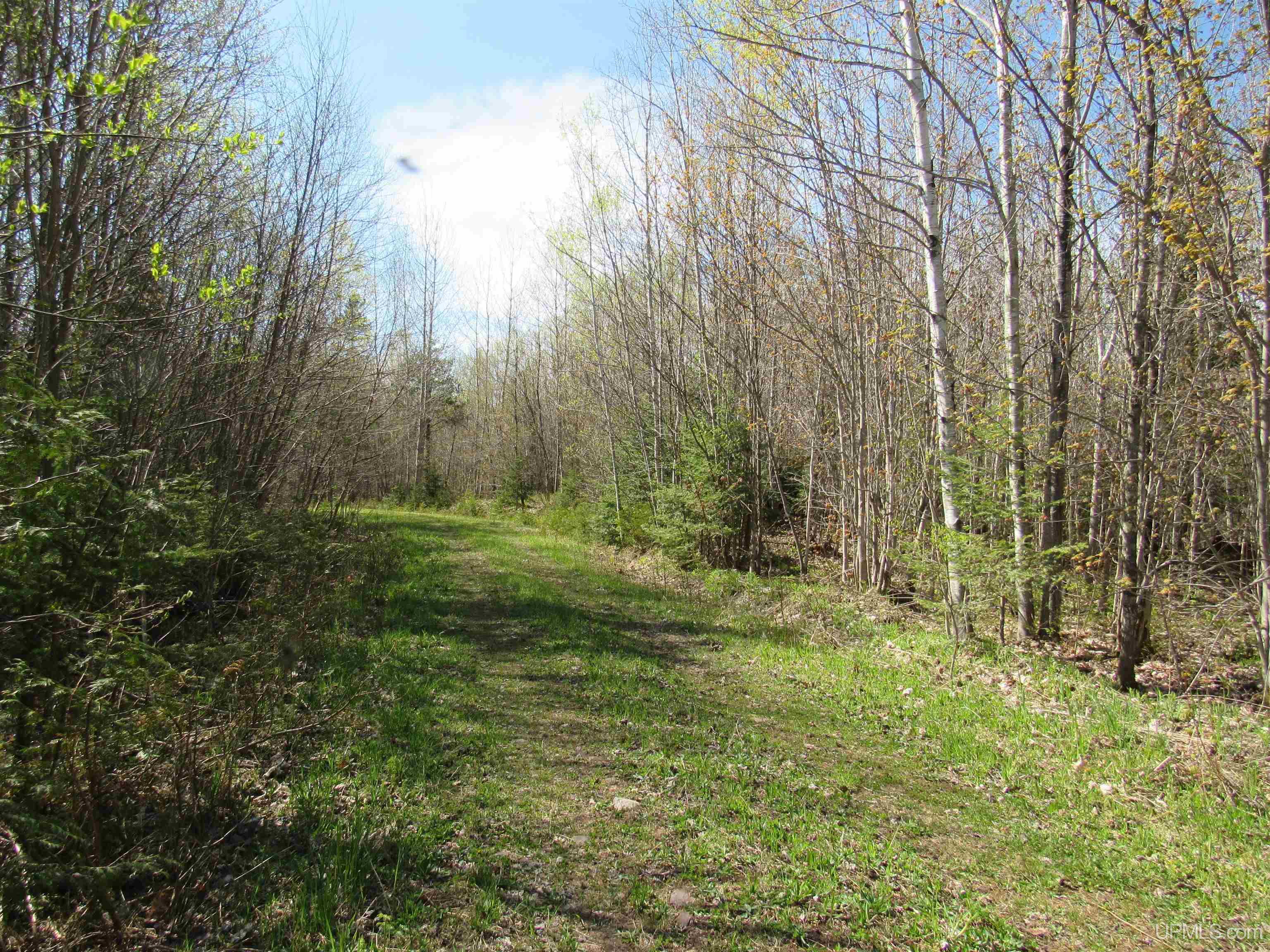 MLS 50142898 Large photo number 22 