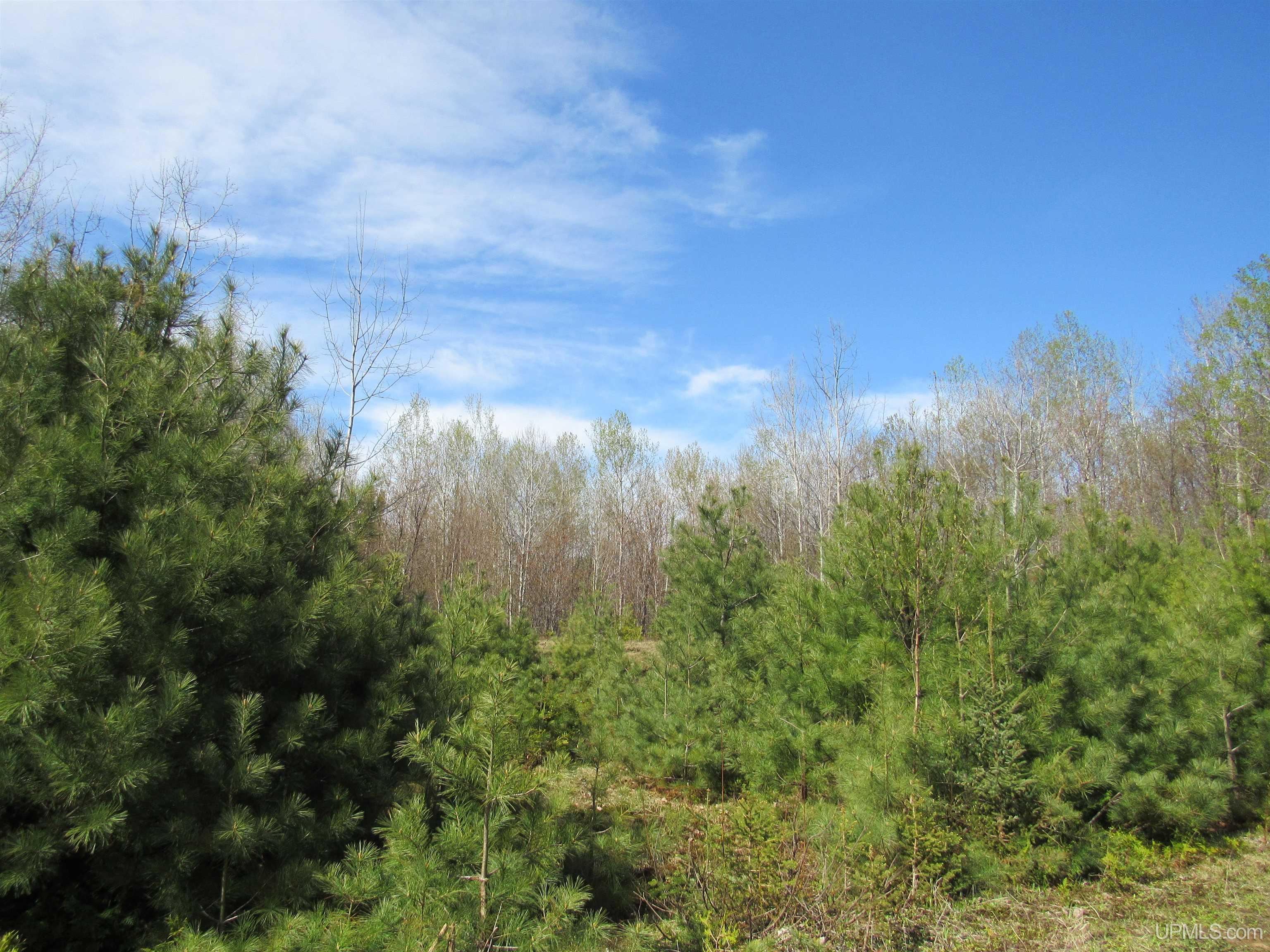 MLS 50142898 Large photo number 26 