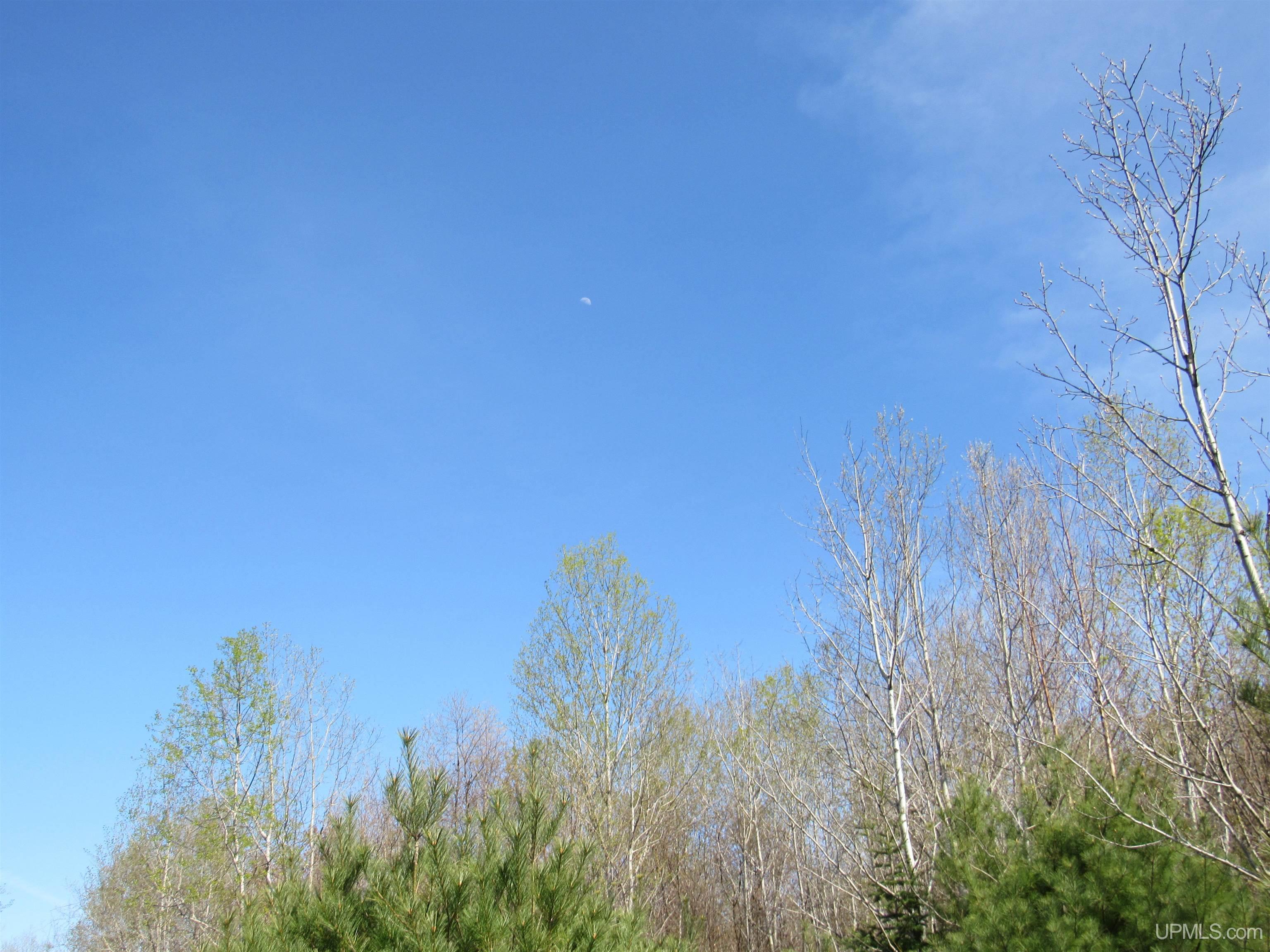 MLS 50142898 Large photo number 29 