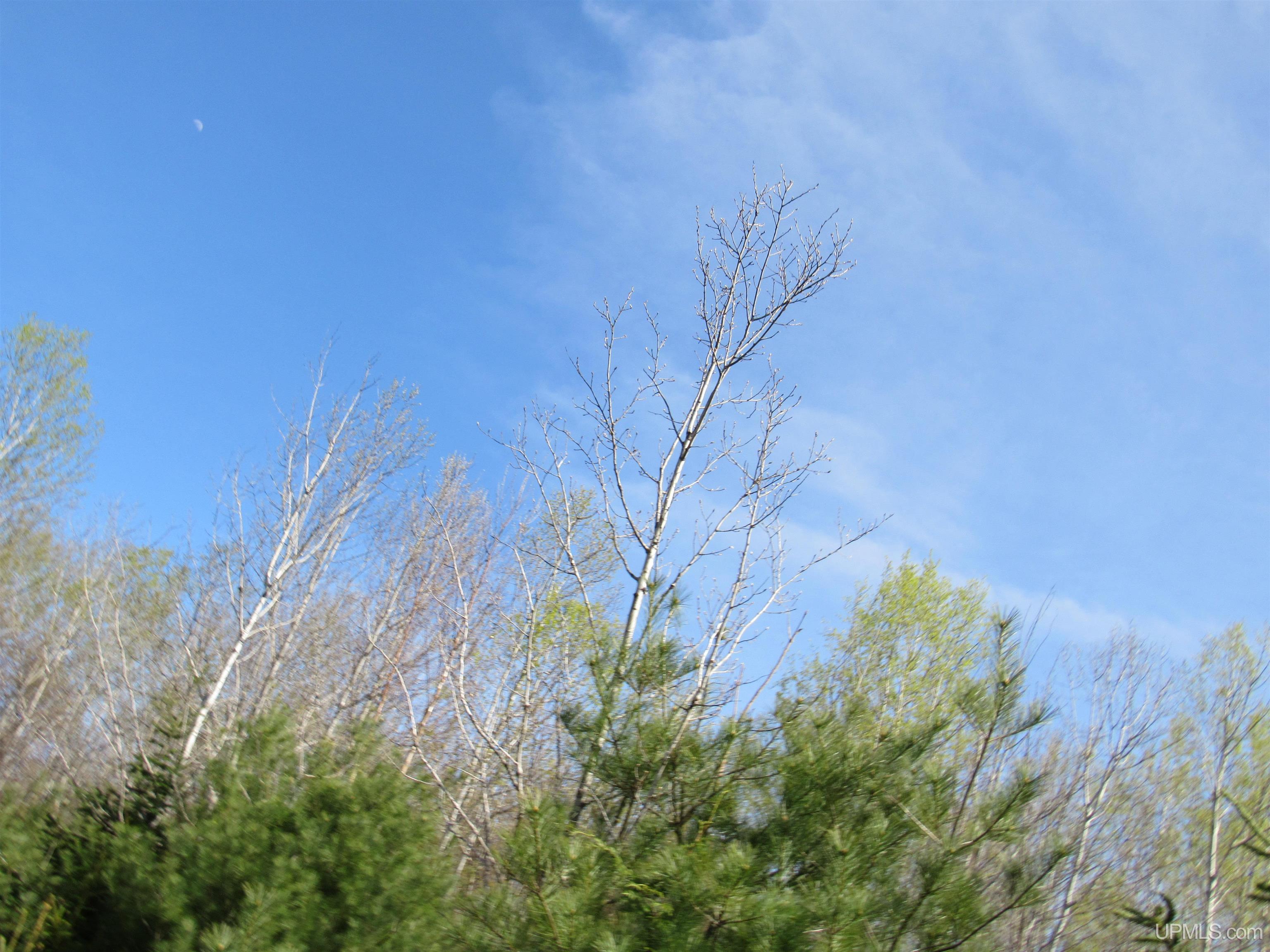MLS 50142898 Large photo number 30 