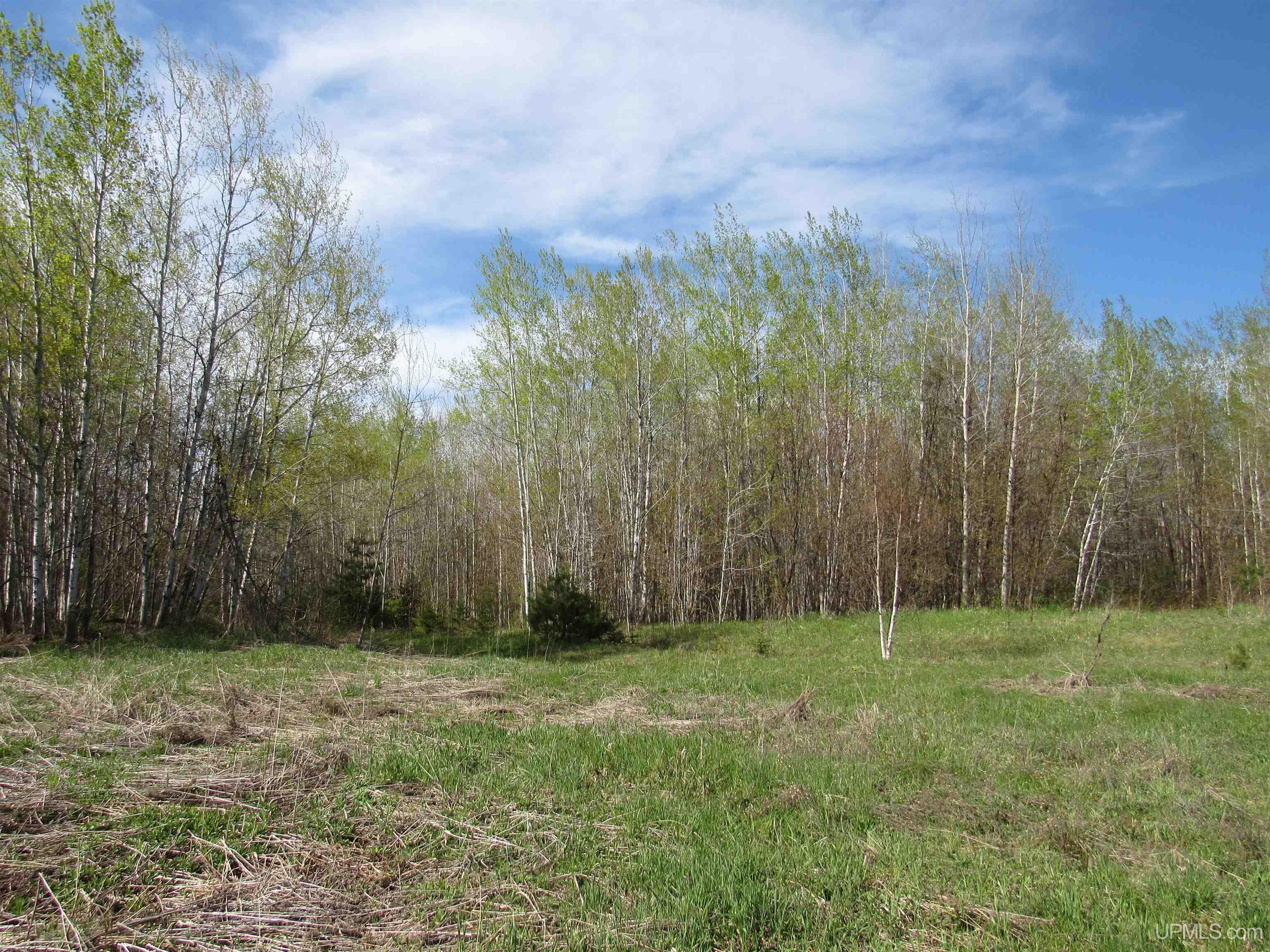 MLS 50142898 Large photo number 4 