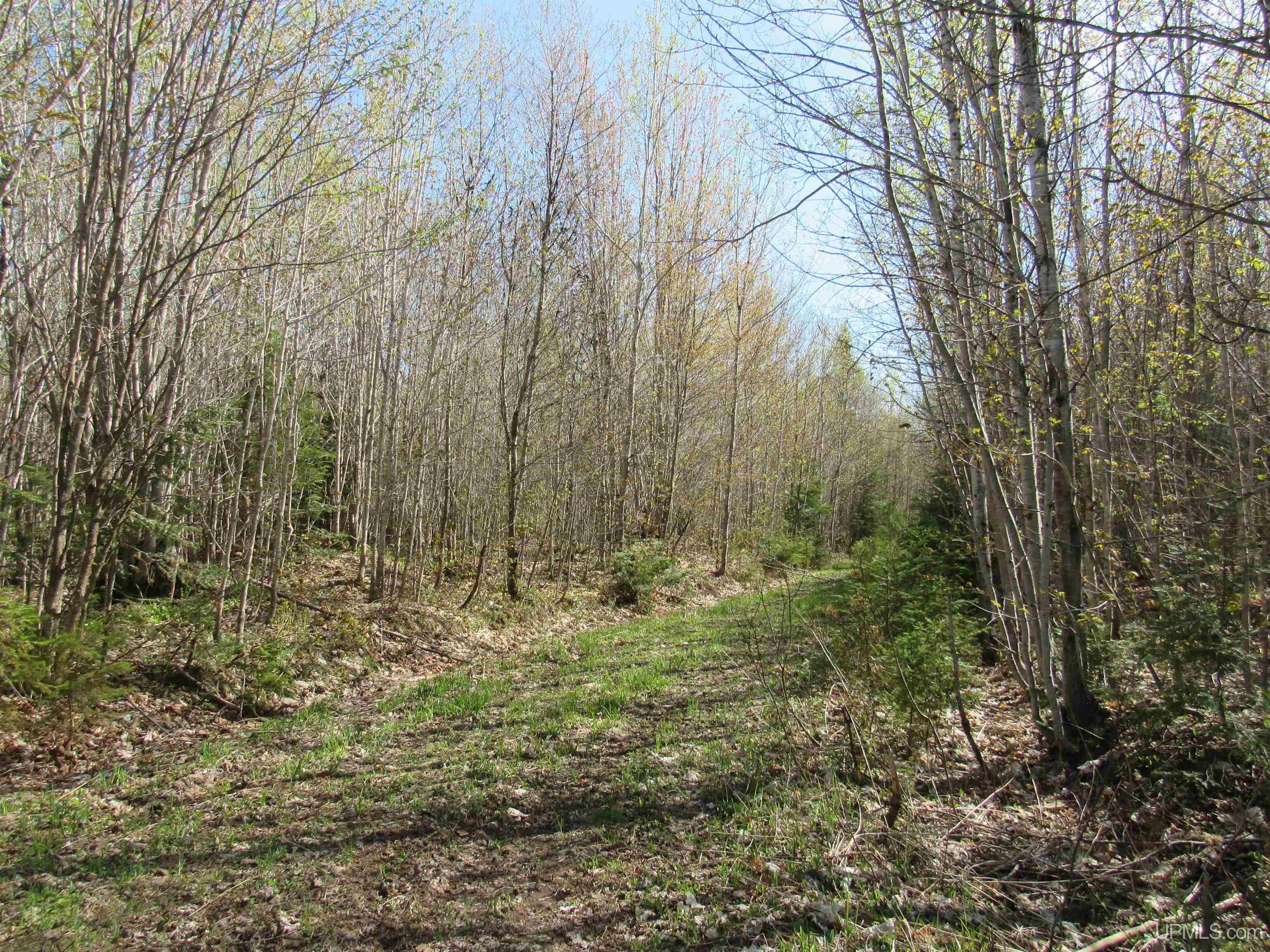 MLS 50142898 Large photo number 34 