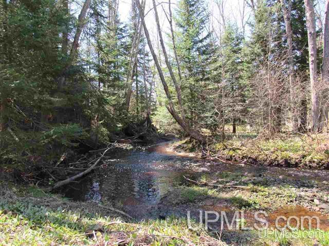 MLS 50142898 Large photo number 38 