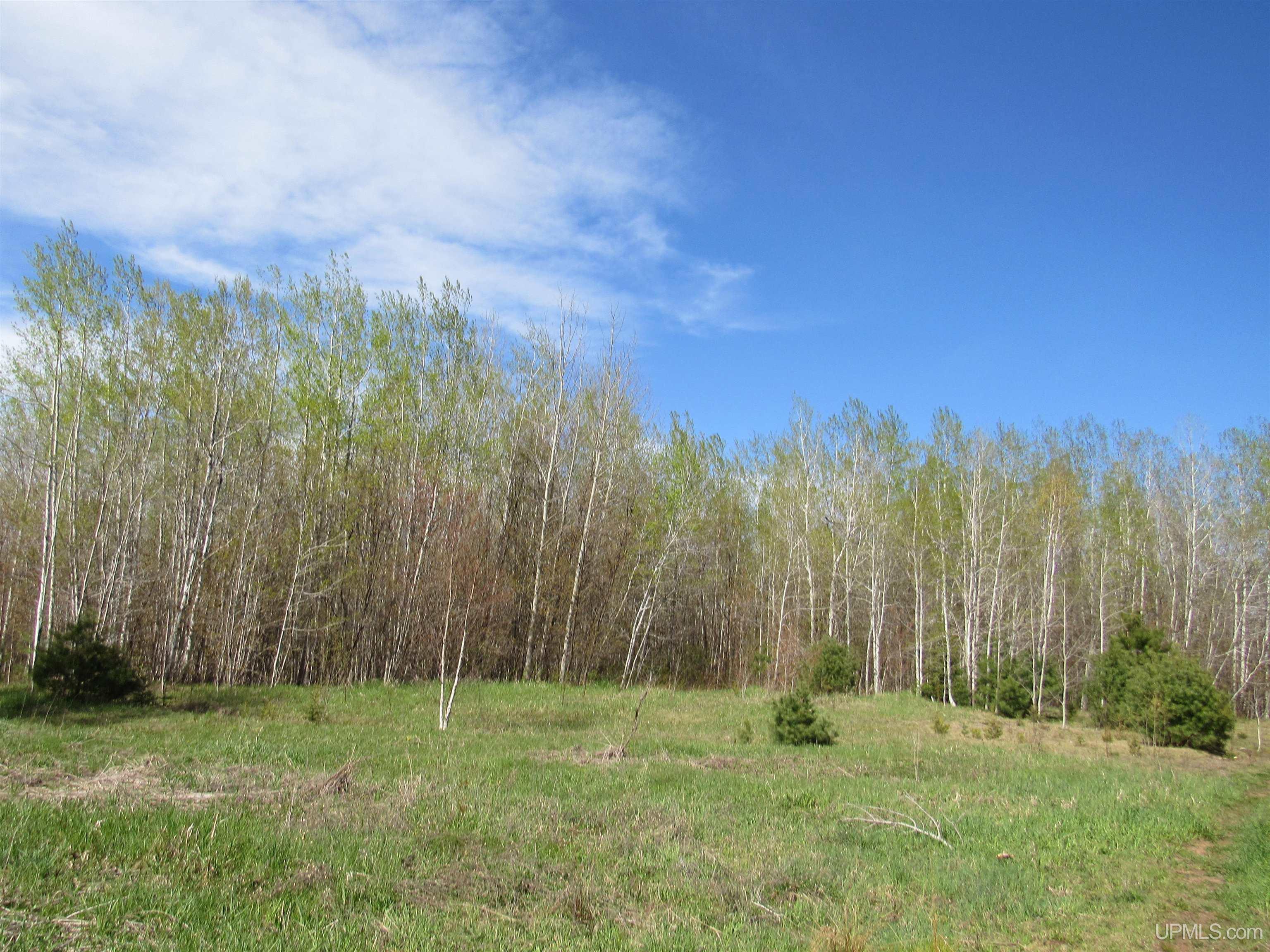 MLS 50142898 Large photo number 5 