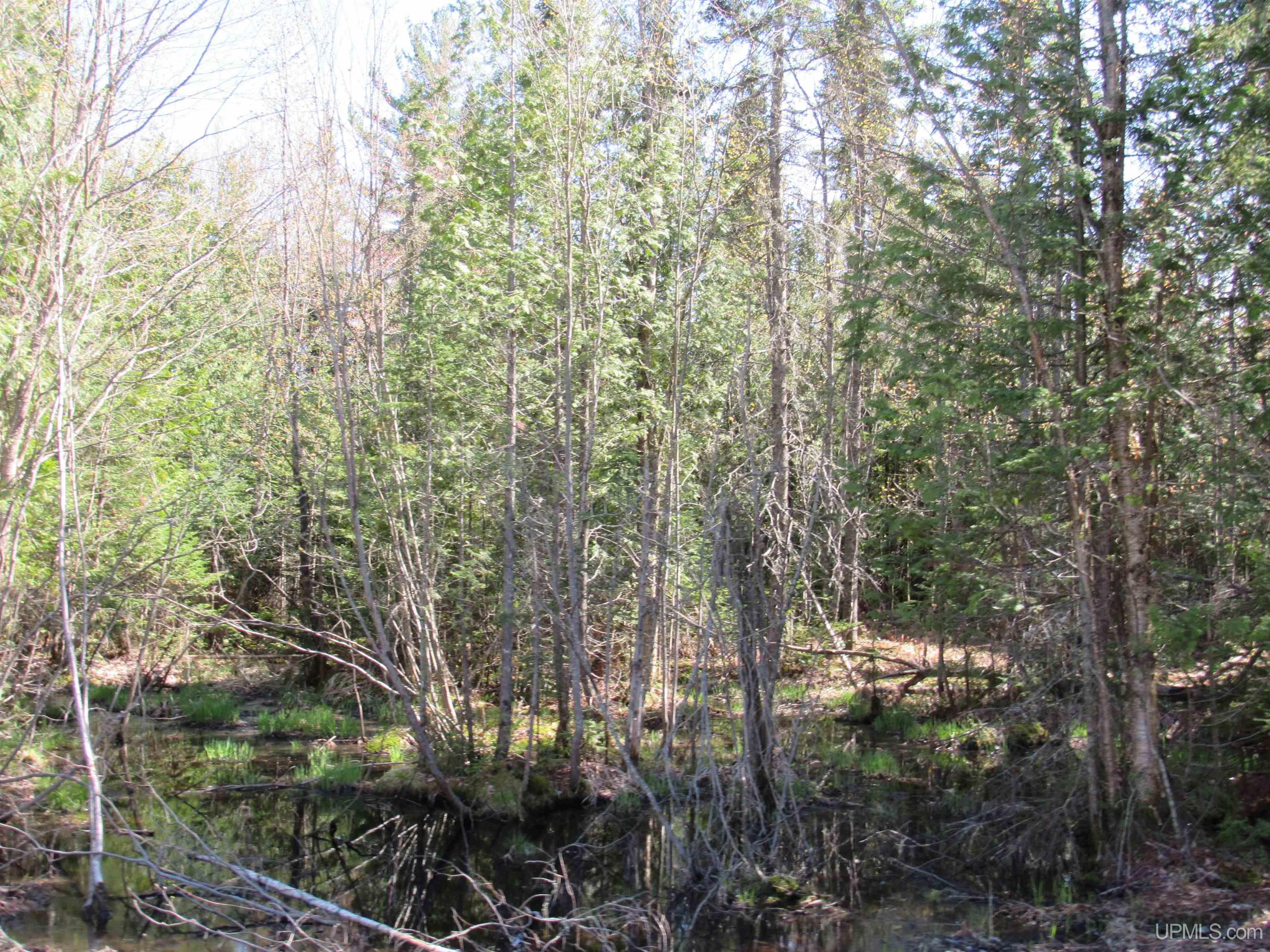 MLS 50142898 Large photo number 8 