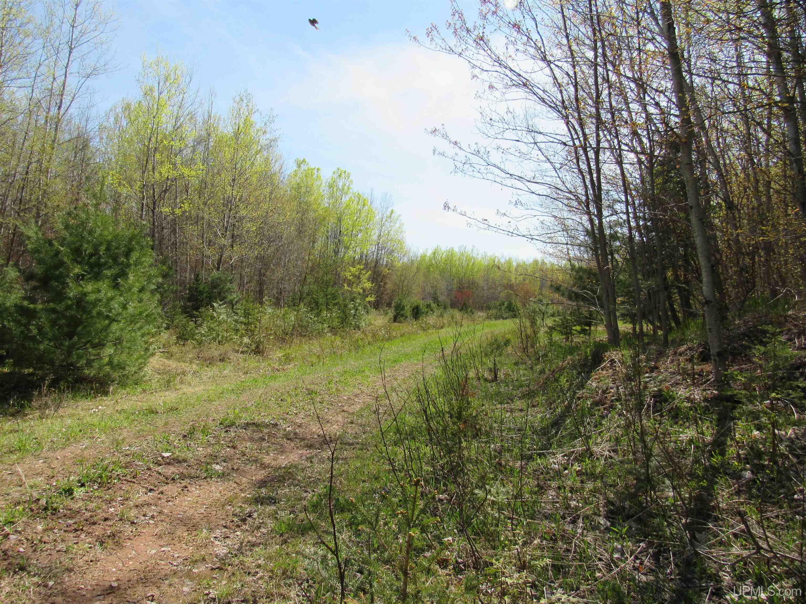 MLS 50142898 Large photo number 10 