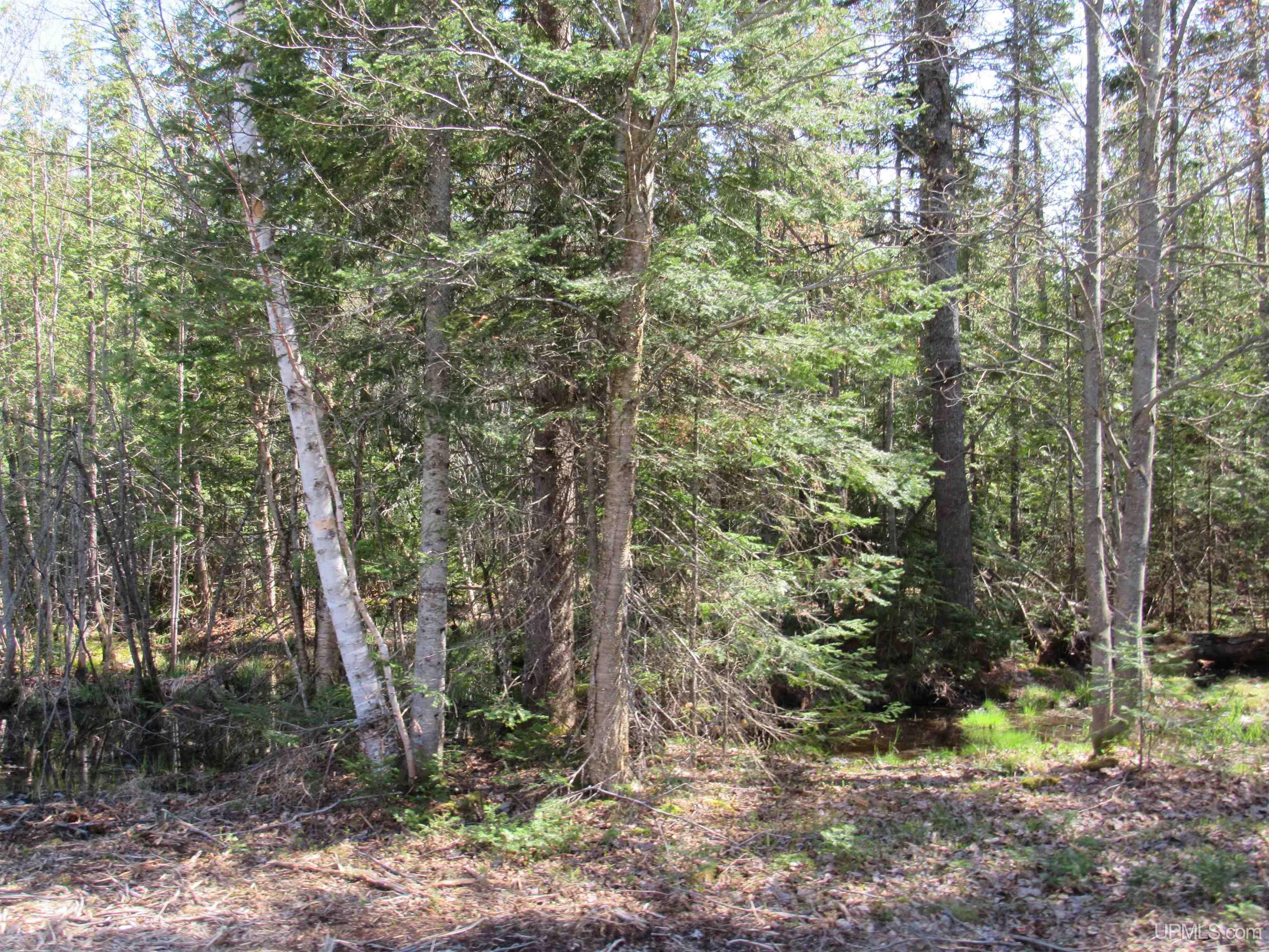 MLS 50143060 Large photo number 3 
