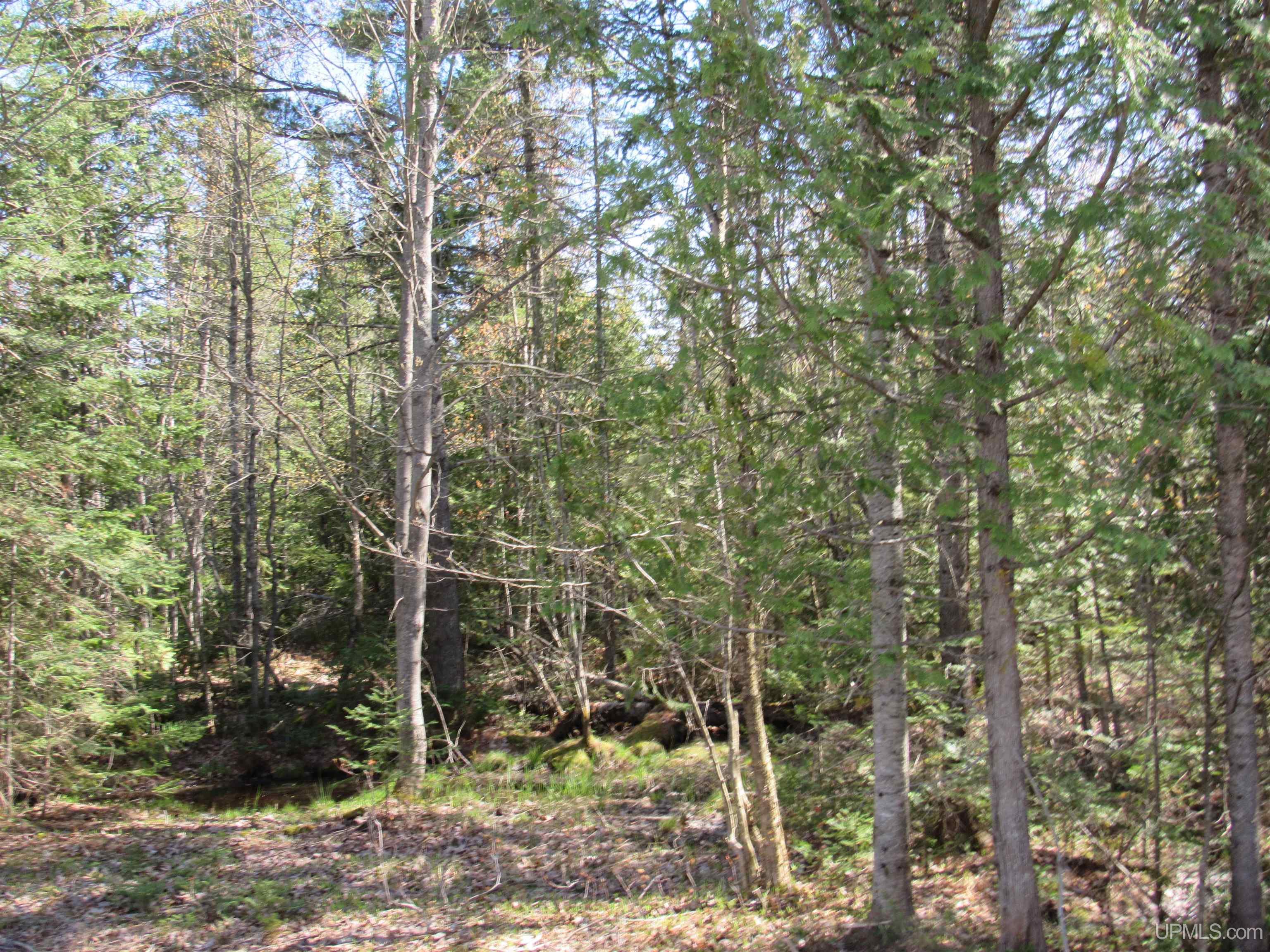 MLS 50143060 Large photo number 4 