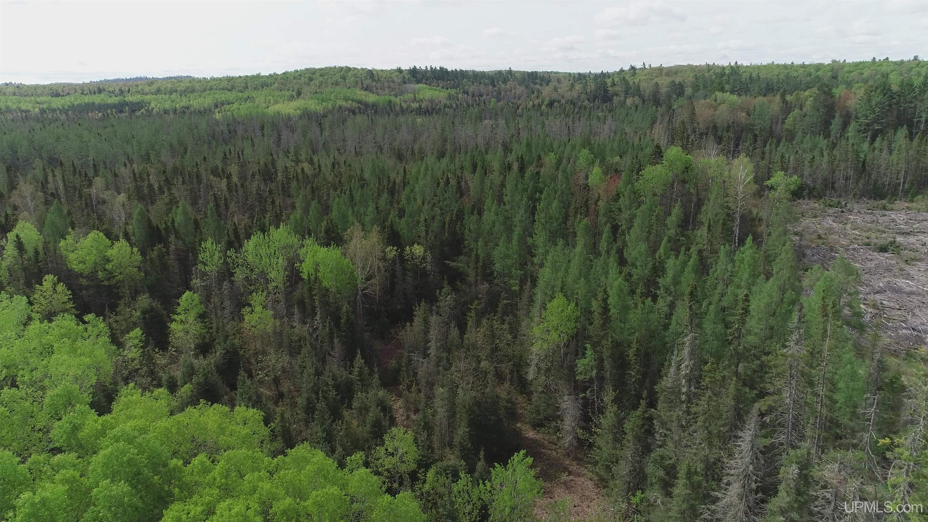 Land Listing MLS Number 50143514