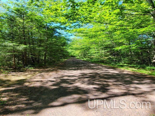 MLS 50144210 Large photo number 42 