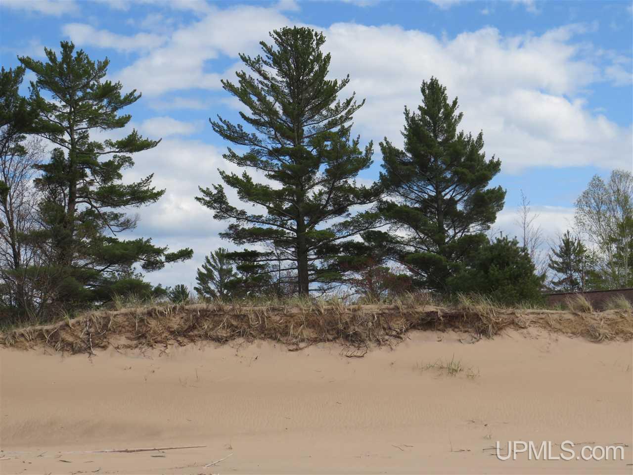 MLS 50144210 Large photo number 65 