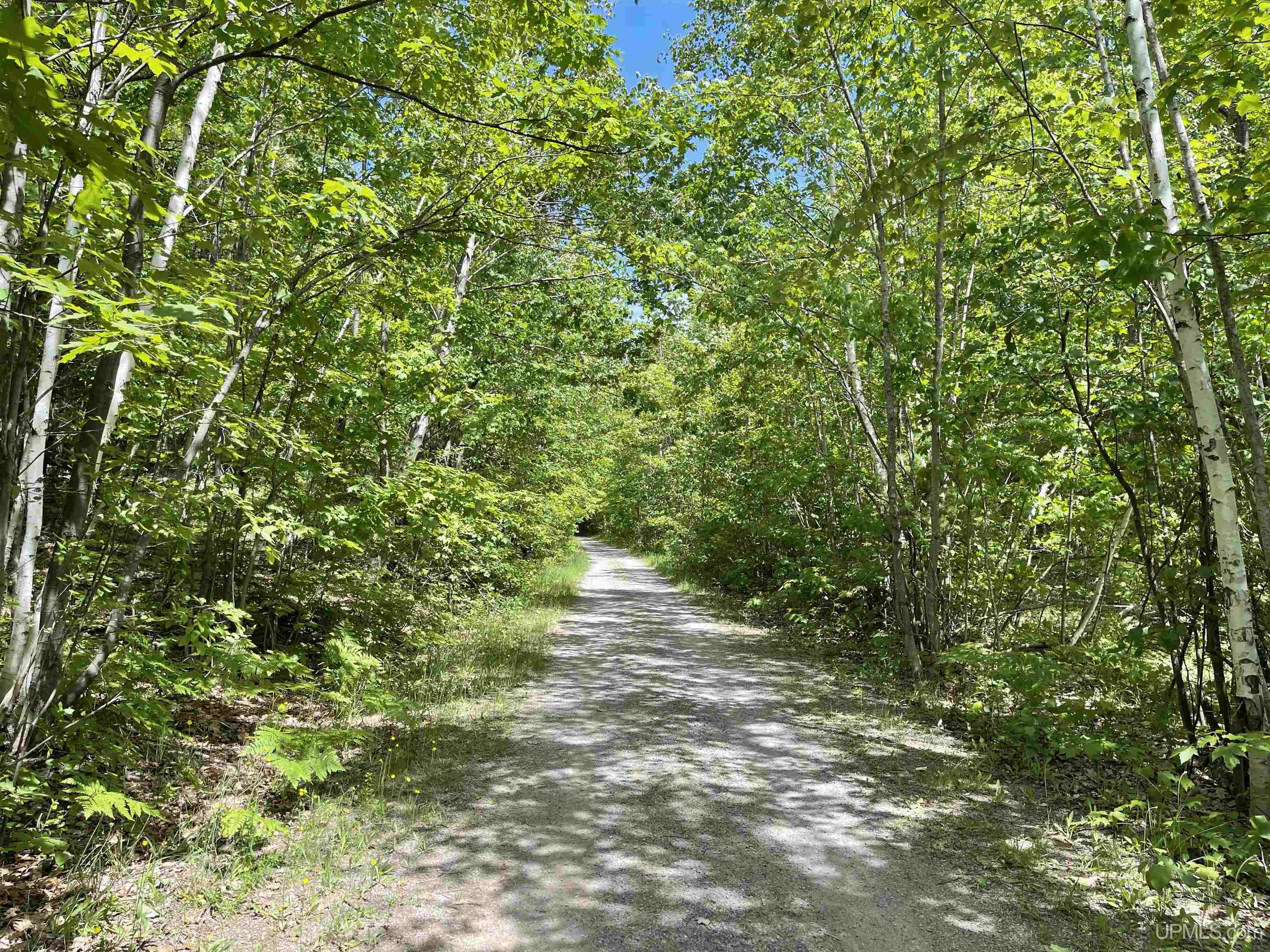 MLS 50145258 Large photo number 13 