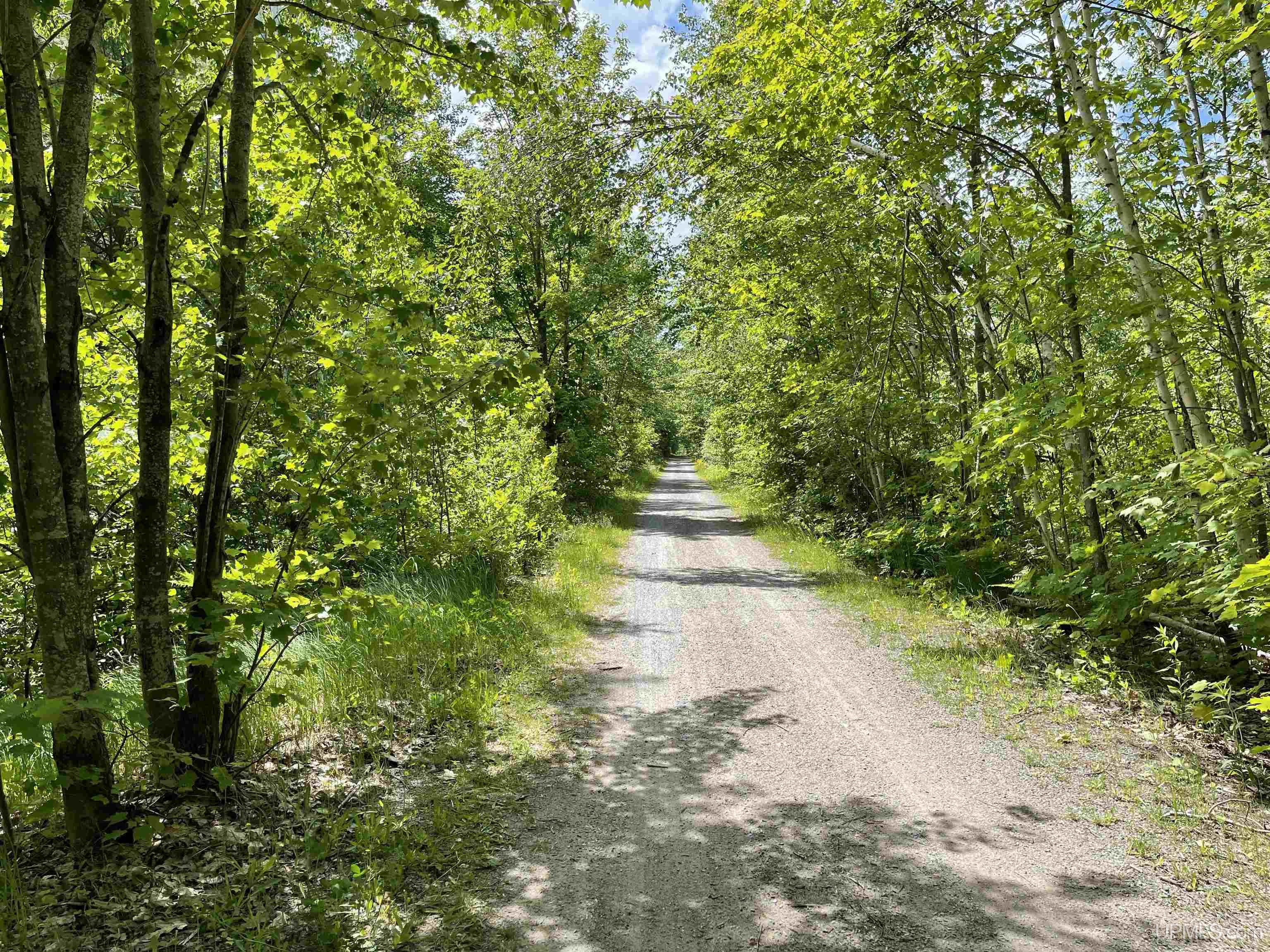 MLS 50145258 Large photo number 14 