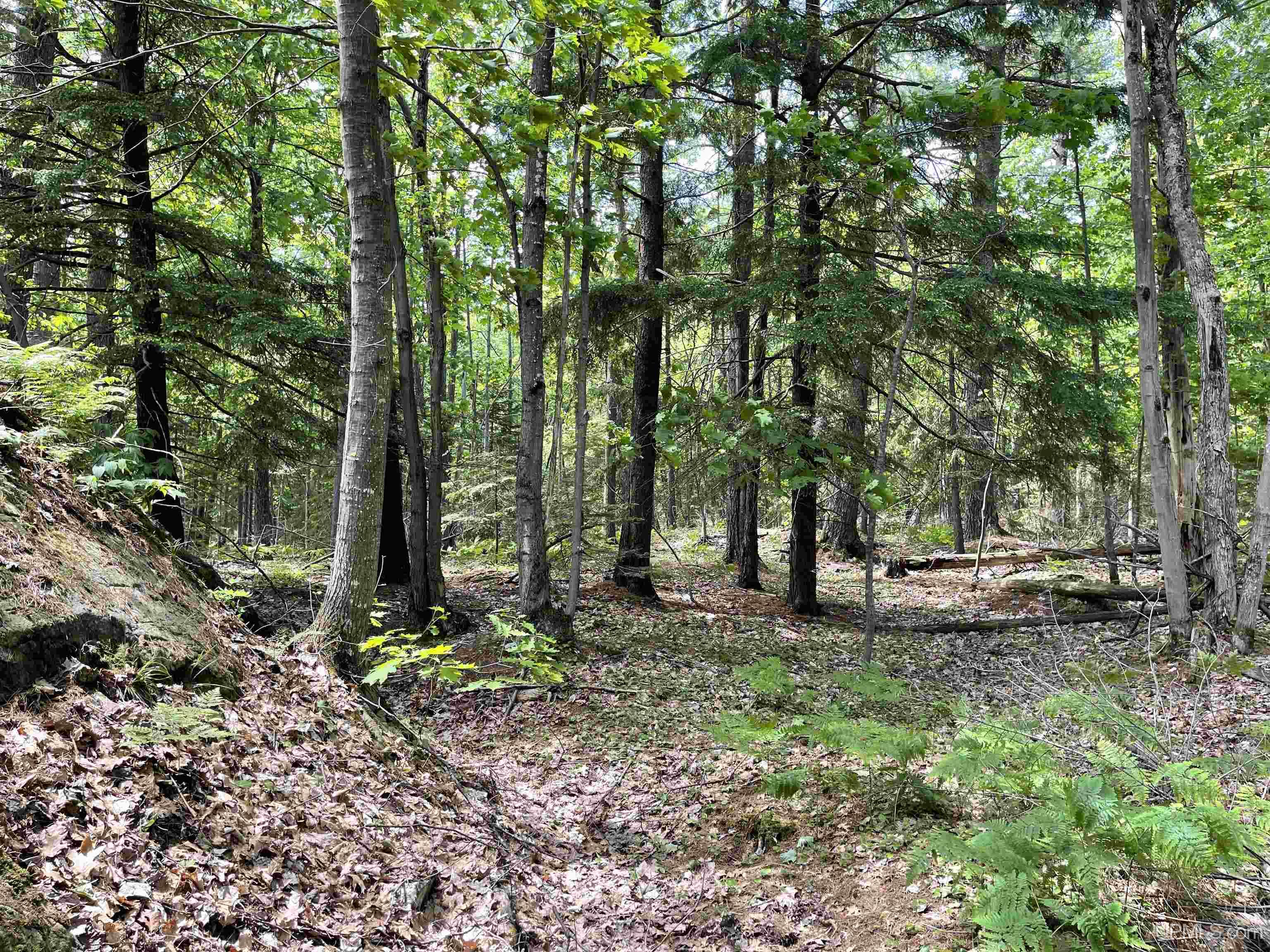 MLS 50145258 Large photo number 15 