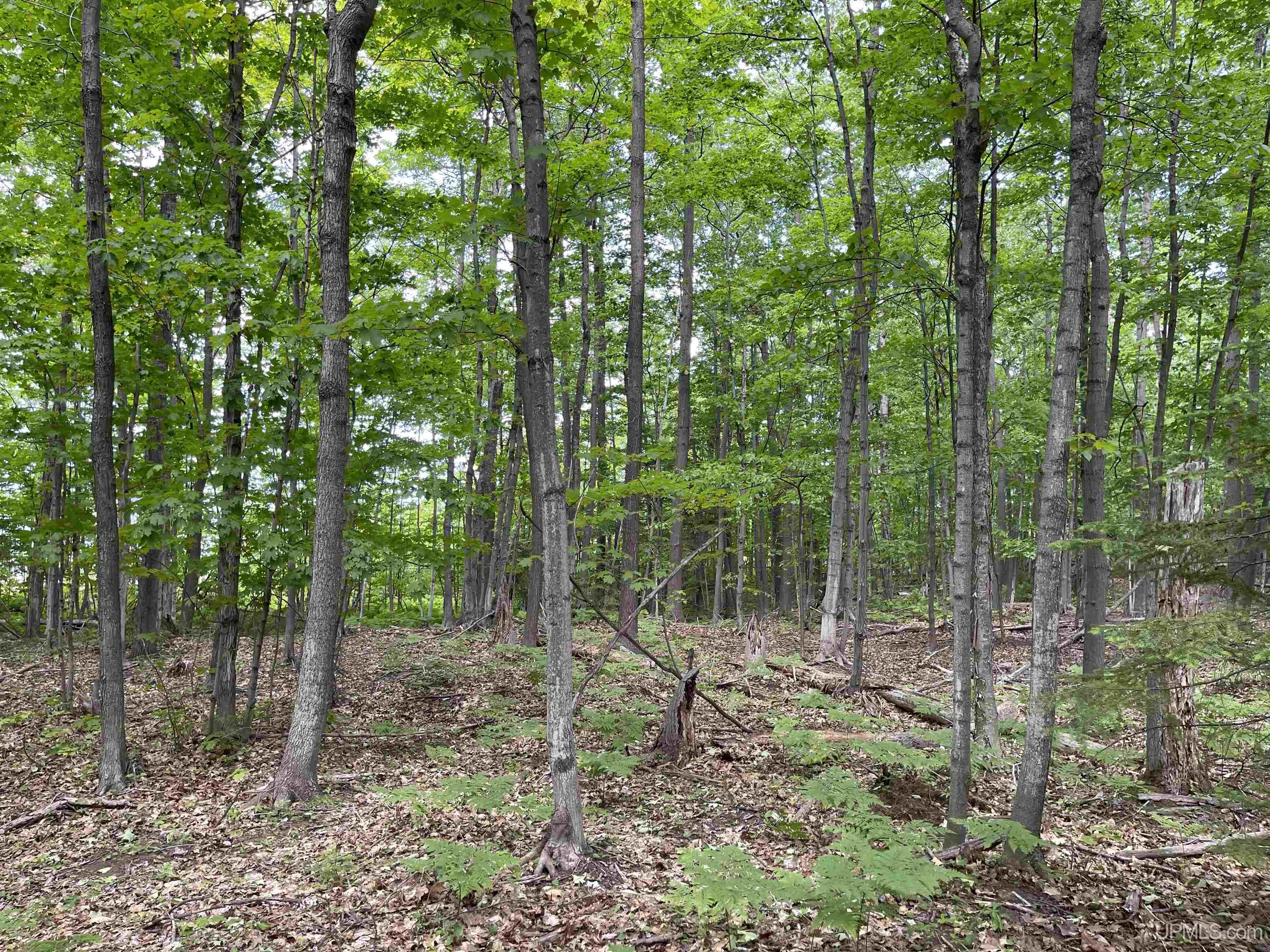 MLS 50145258 Large photo number 17 
