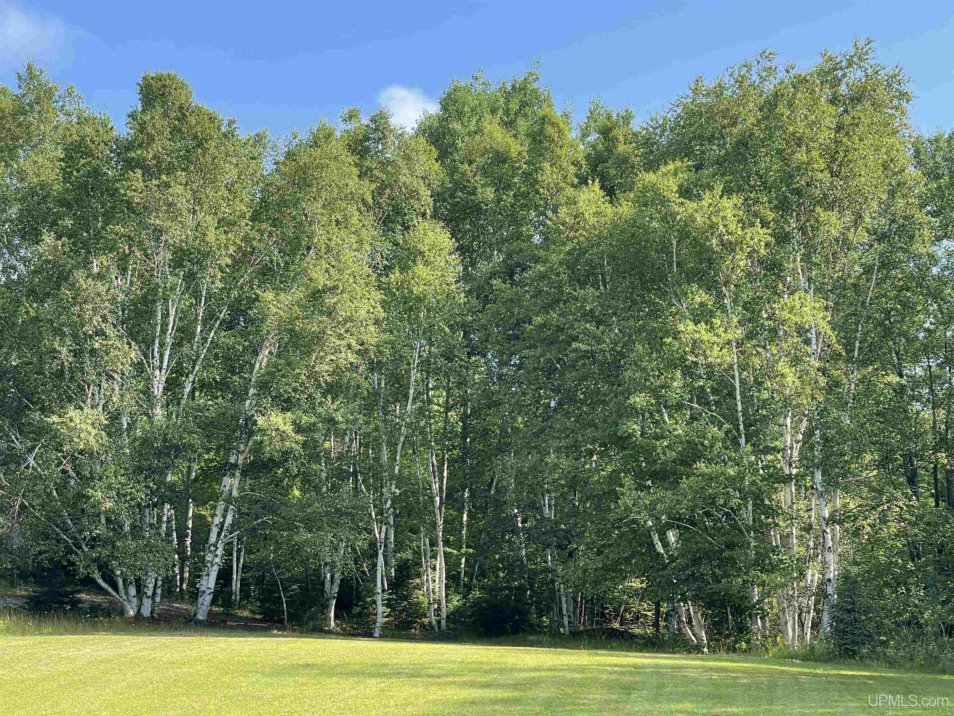 Land Listing MLS Number 50149137