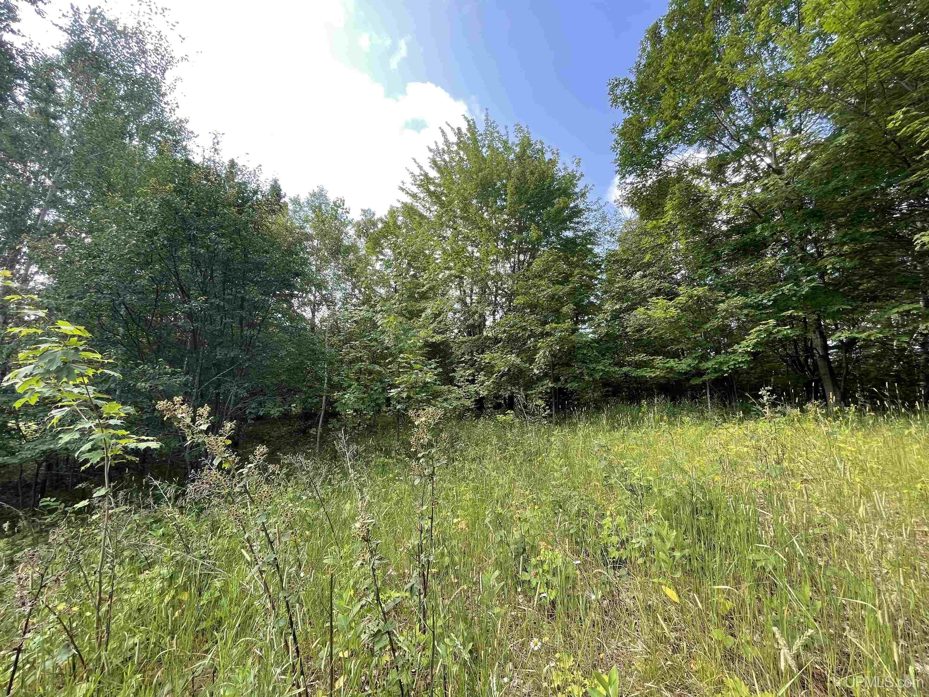 MLS 50149137 Large photo number 11 