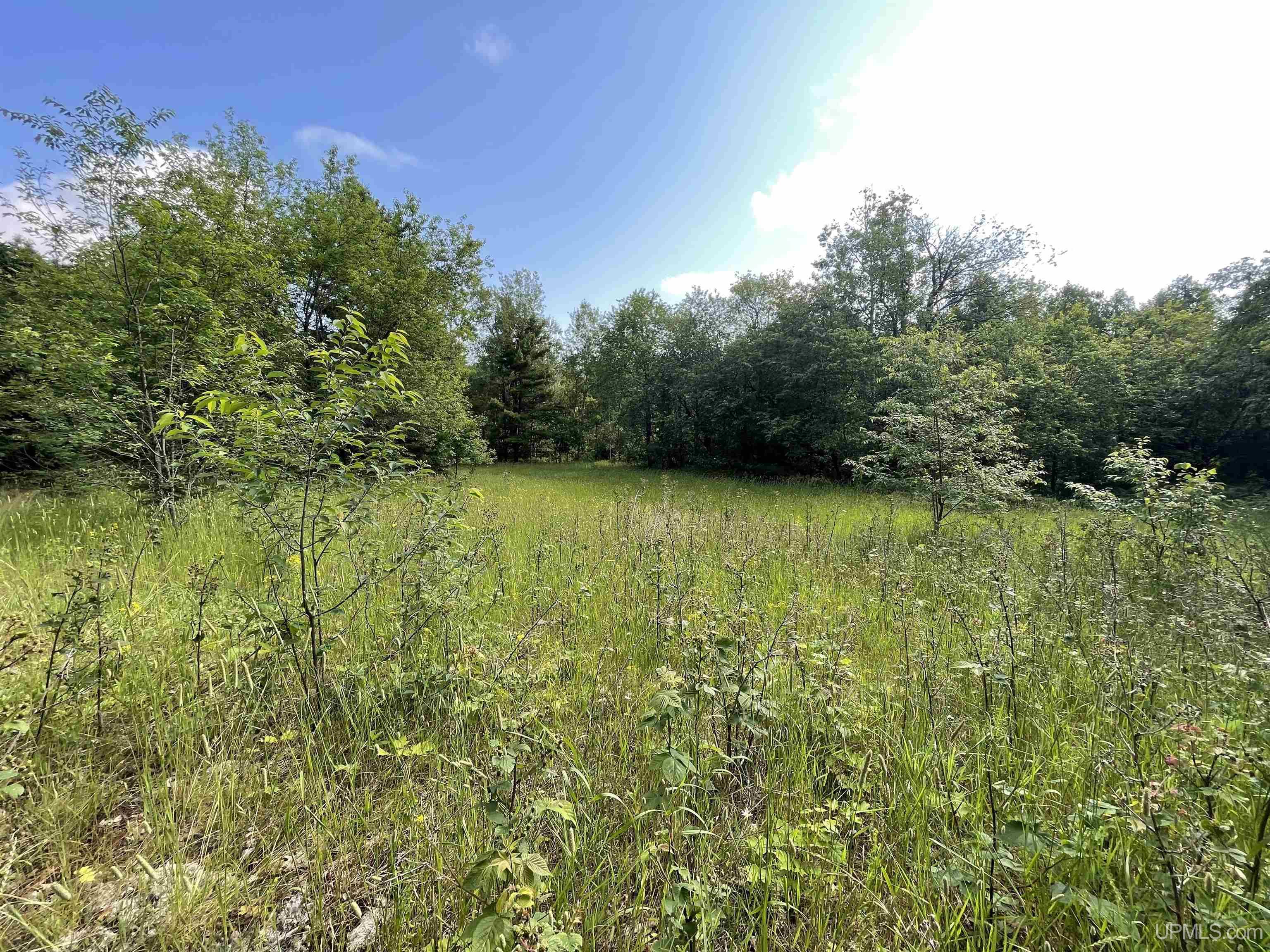 MLS 50149137 Large photo number 12 
