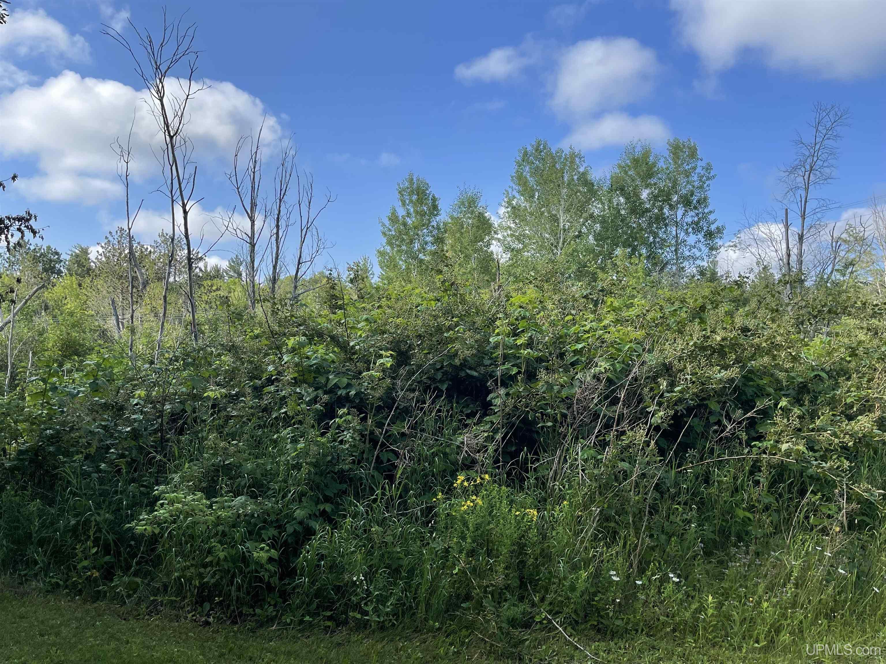 MLS 50149137 Large photo number 3 