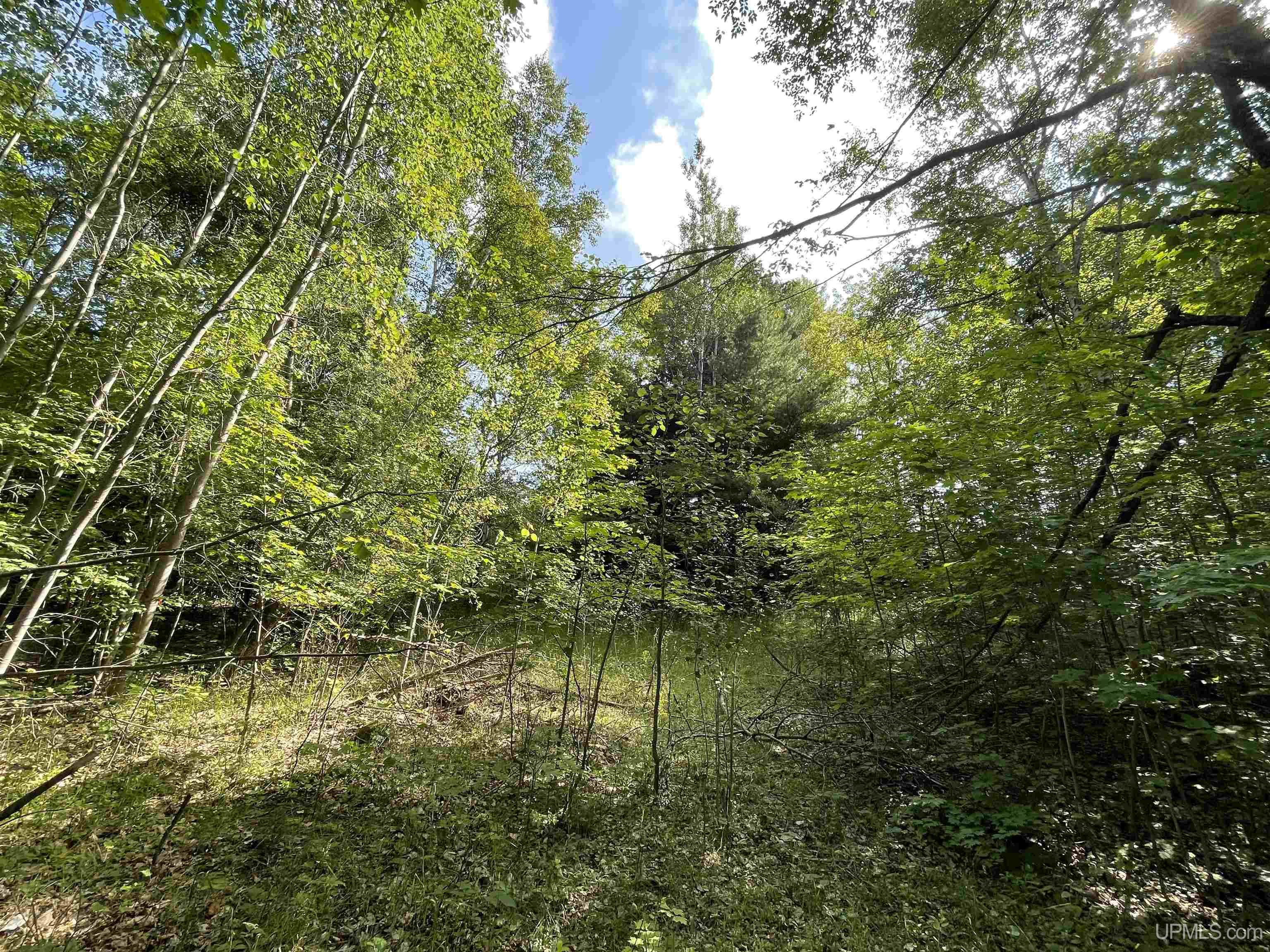 MLS 50149137 Large photo number 5 