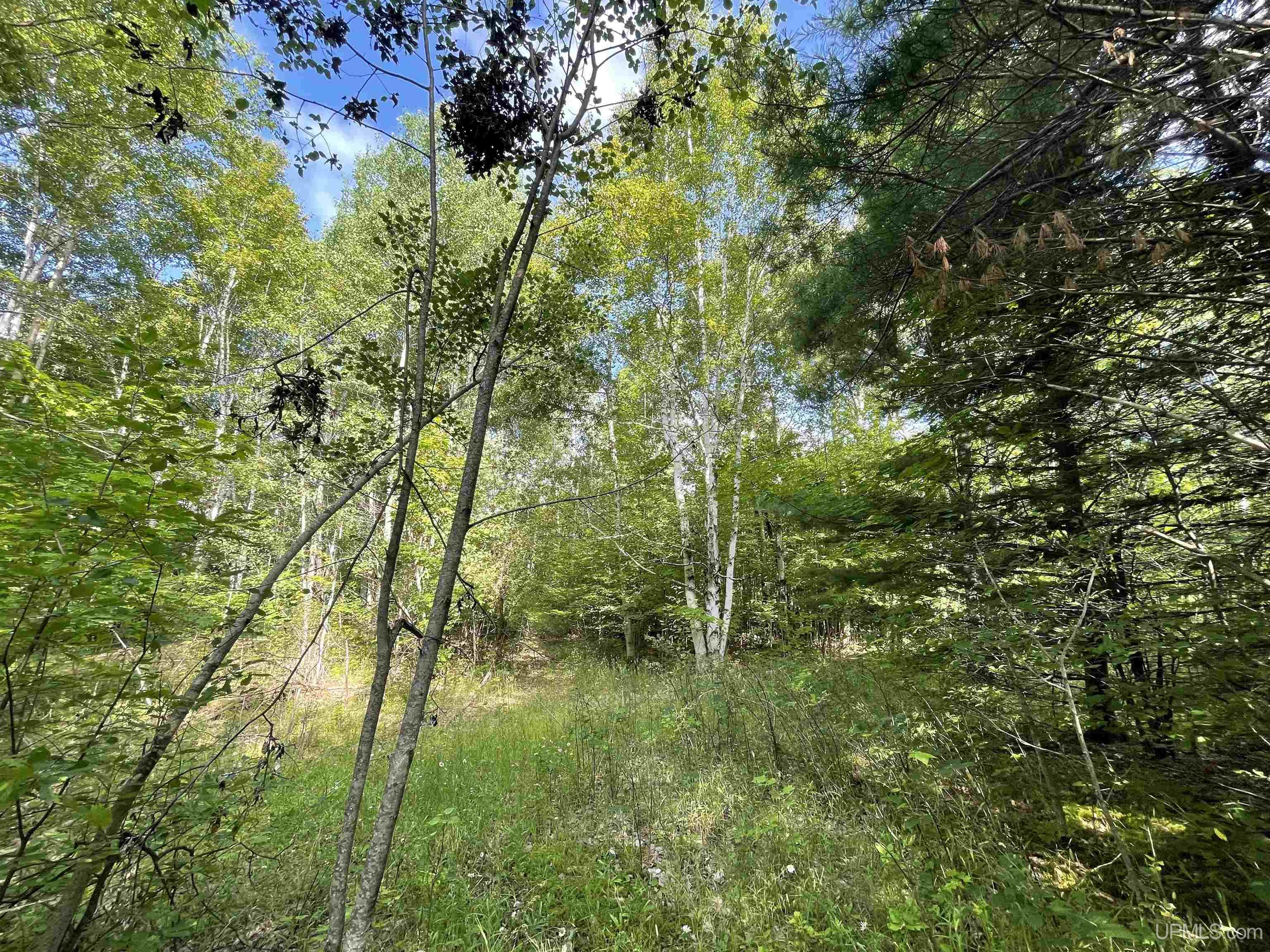 MLS 50149137 Large photo number 6 
