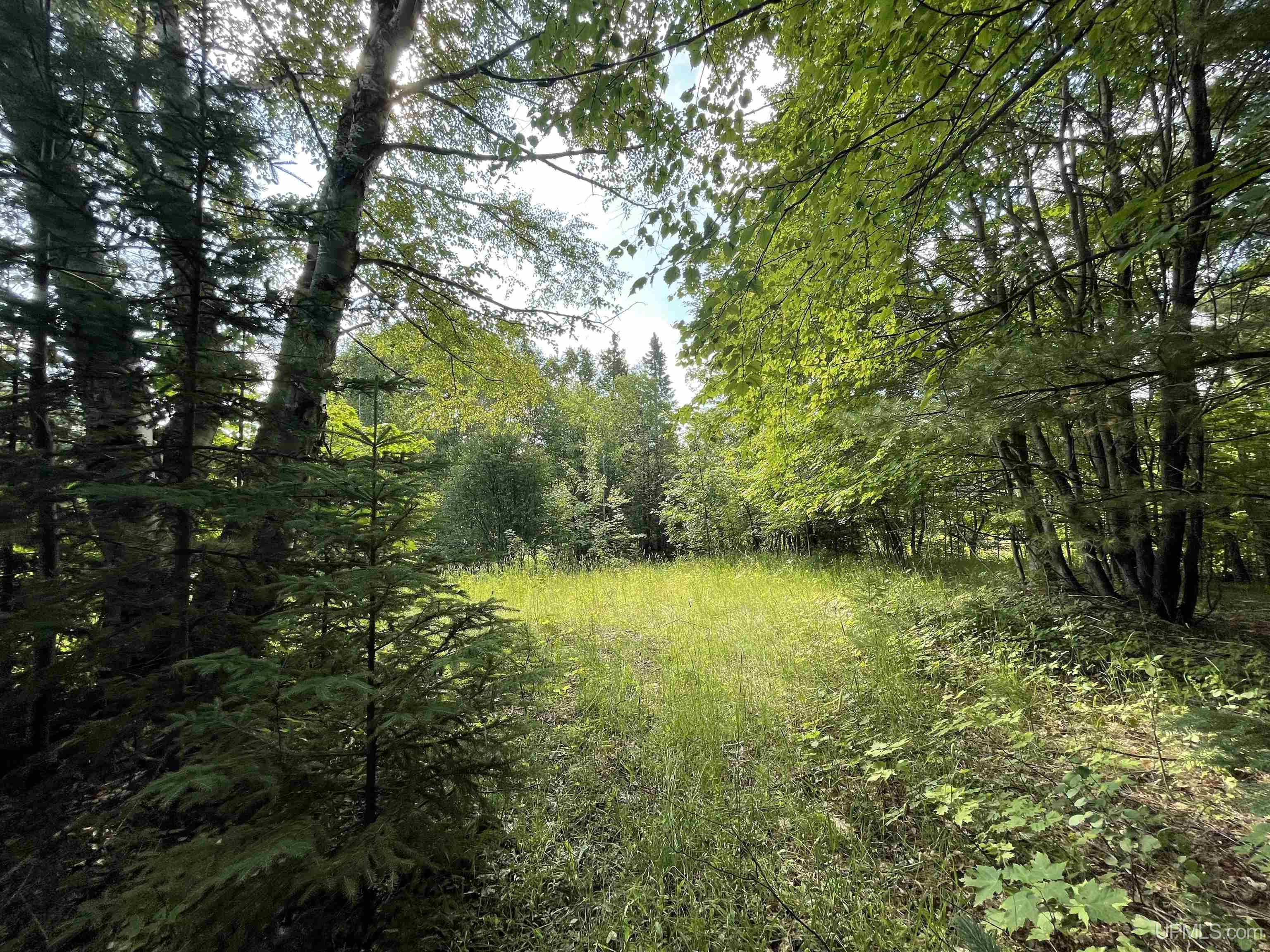 MLS 50149137 Large photo number 8 