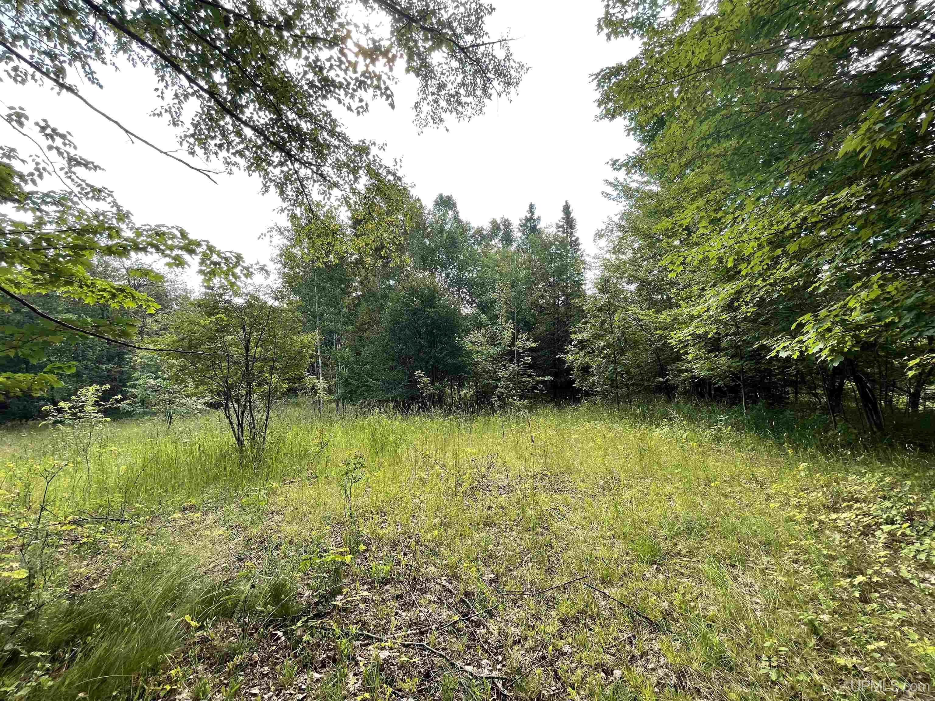 MLS 50149137 Large photo number 10 
