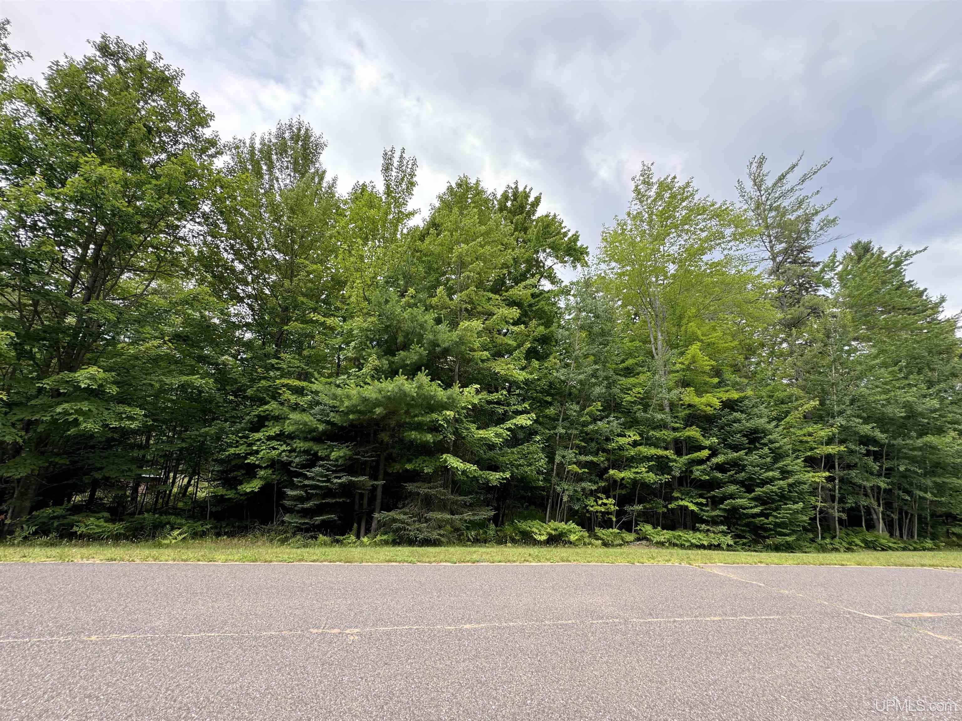MLS 50149227 Large photo number 4 