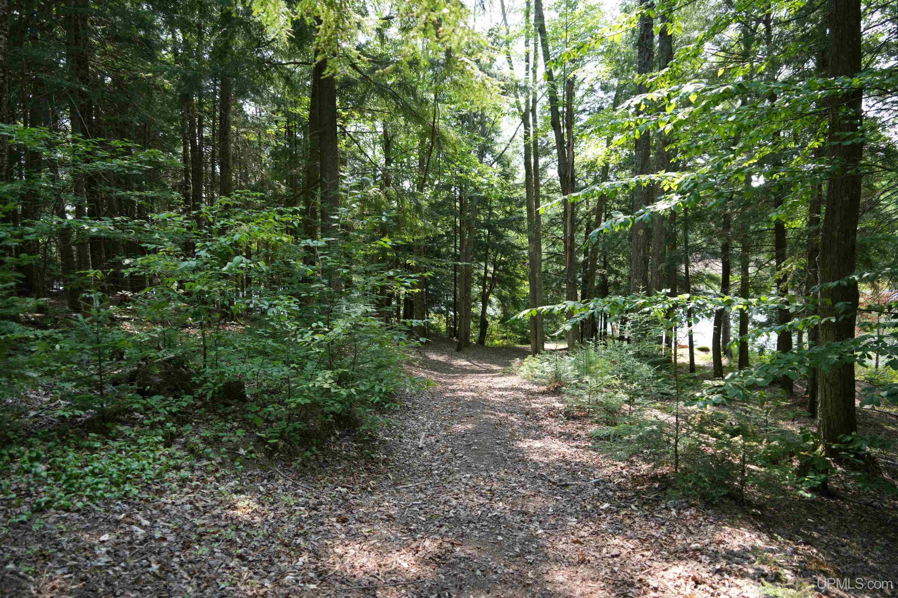 MLS 50150190 Large photo number 86 