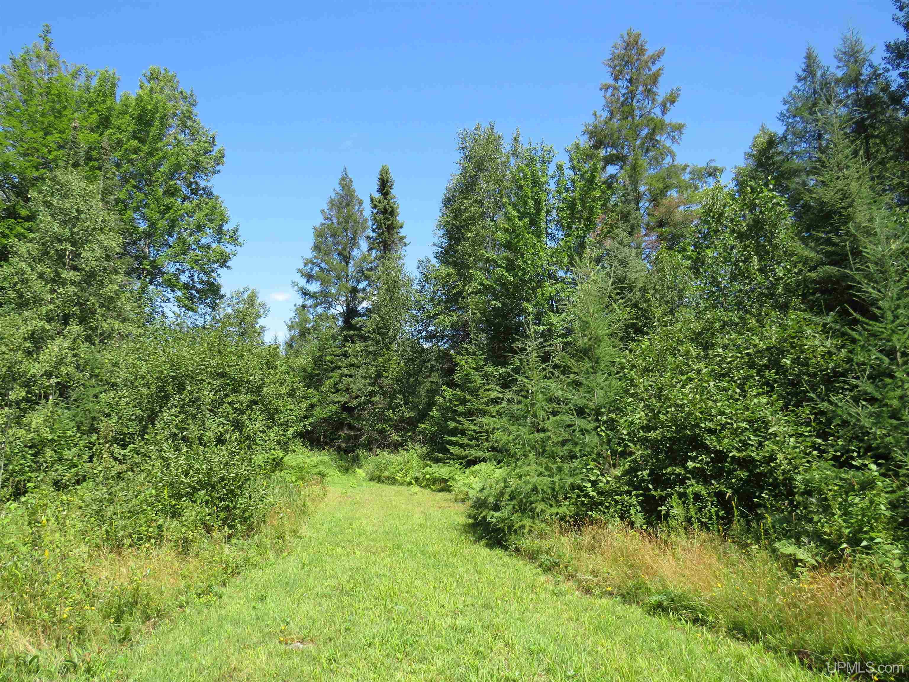 MLS 50151265 Large photo number 54 