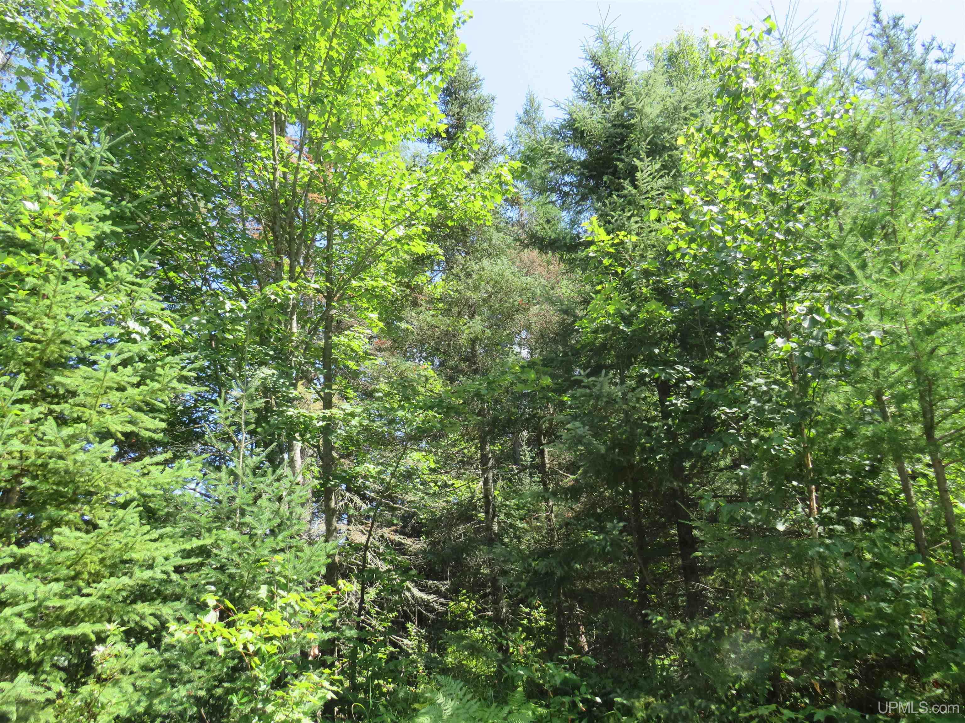MLS 50151265 Large photo number 56 