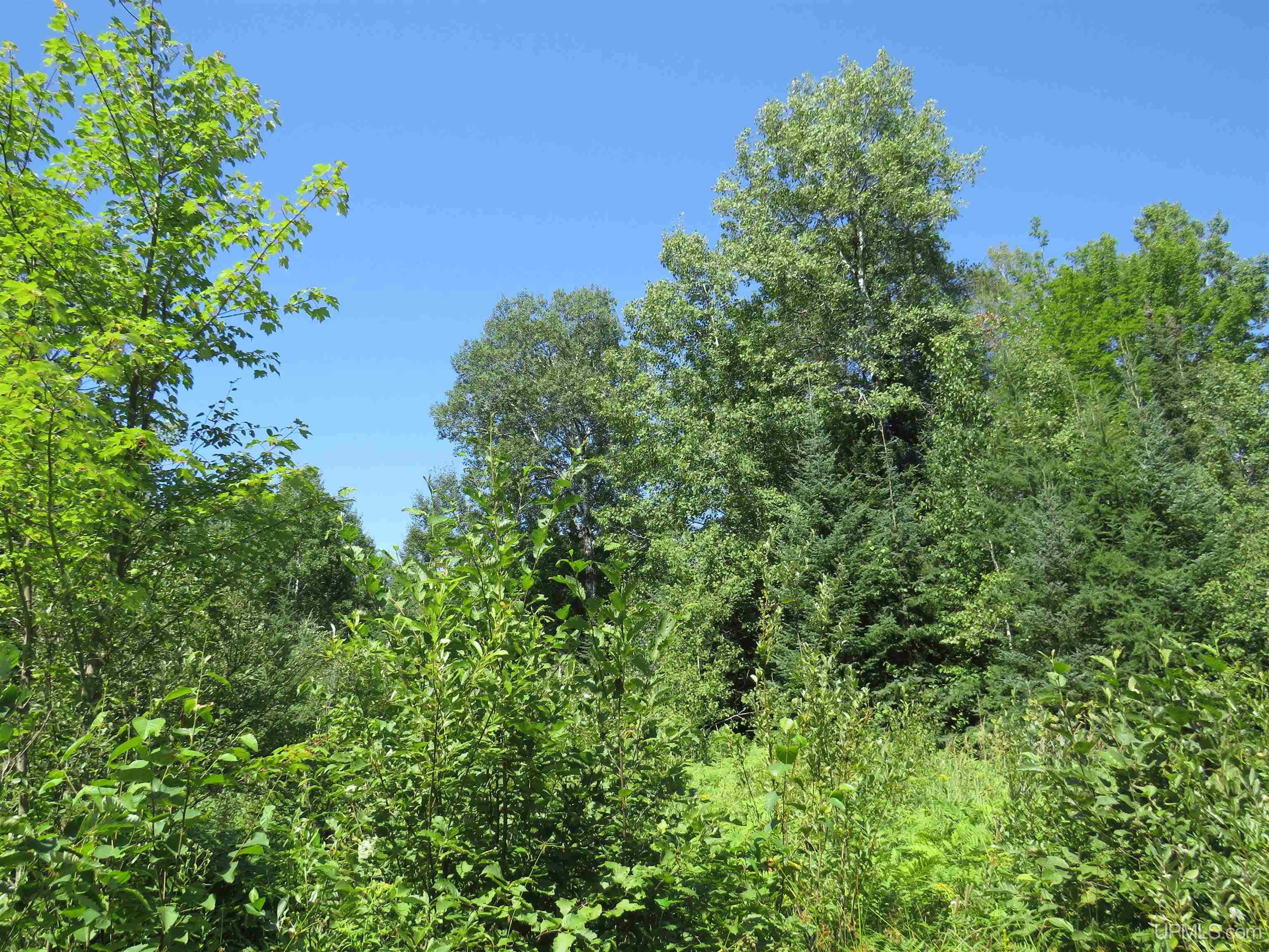 MLS 50151265 Large photo number 59 