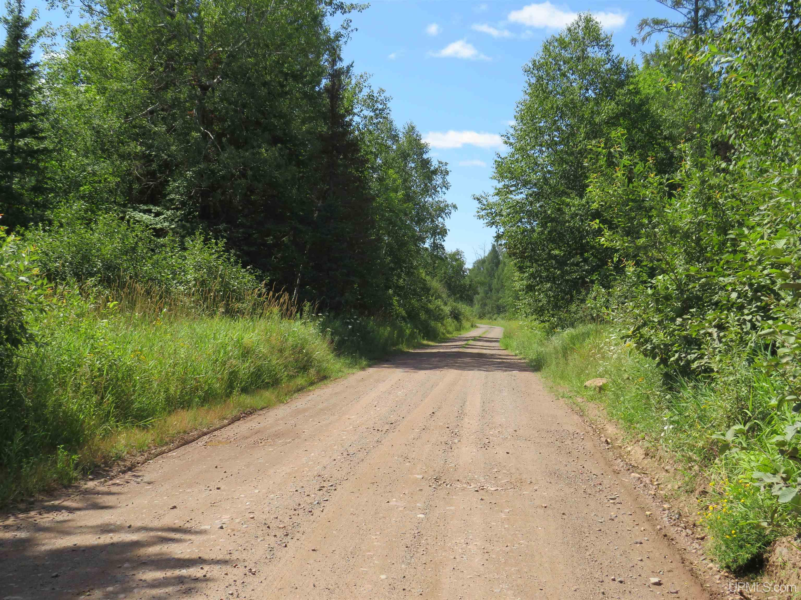 MLS 50151265 Large photo number 63 