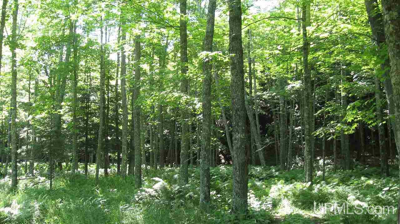 MLS 50152020 Large photo number 6 