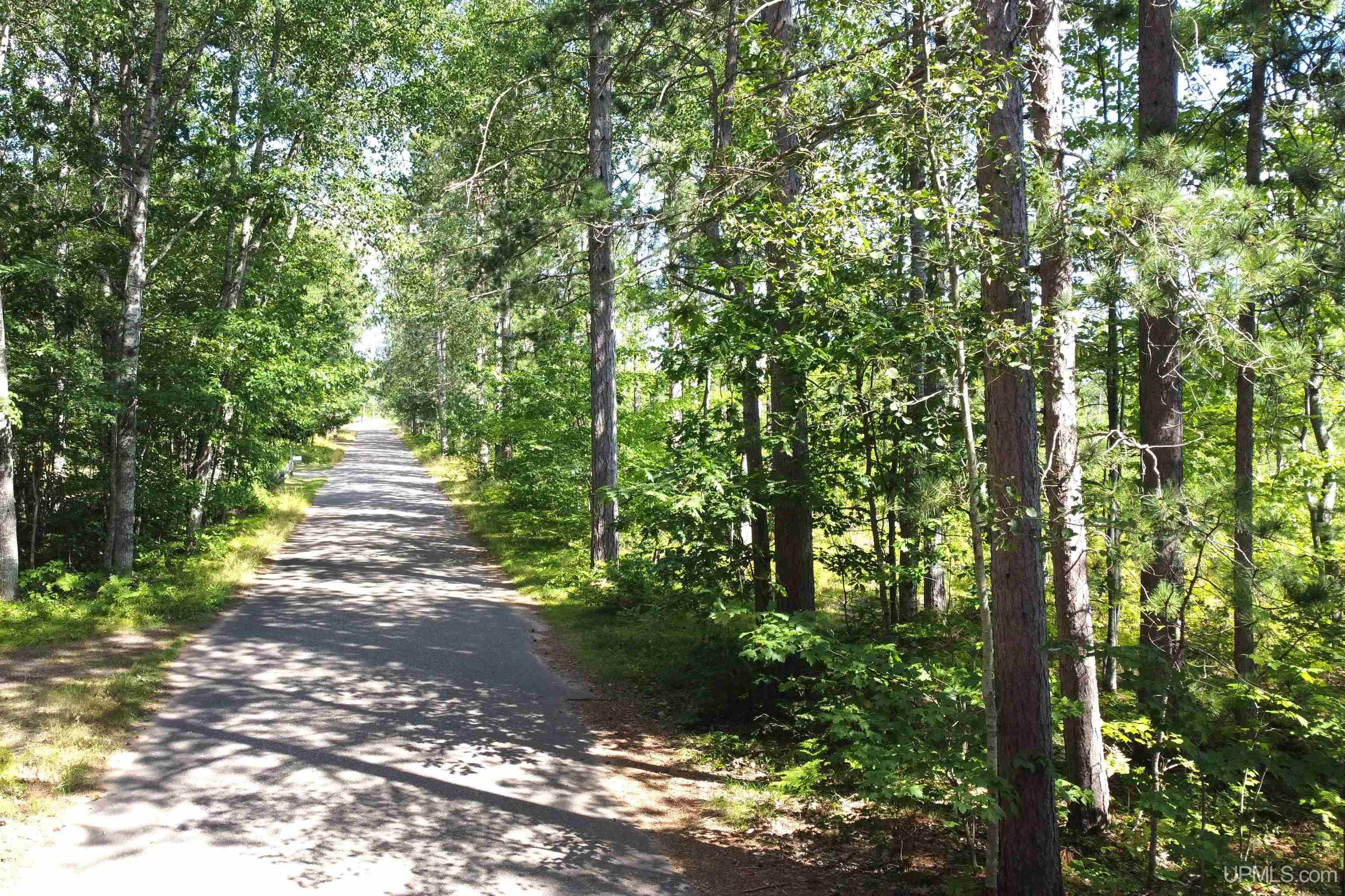 MLS 50153186 Large photo number 15 