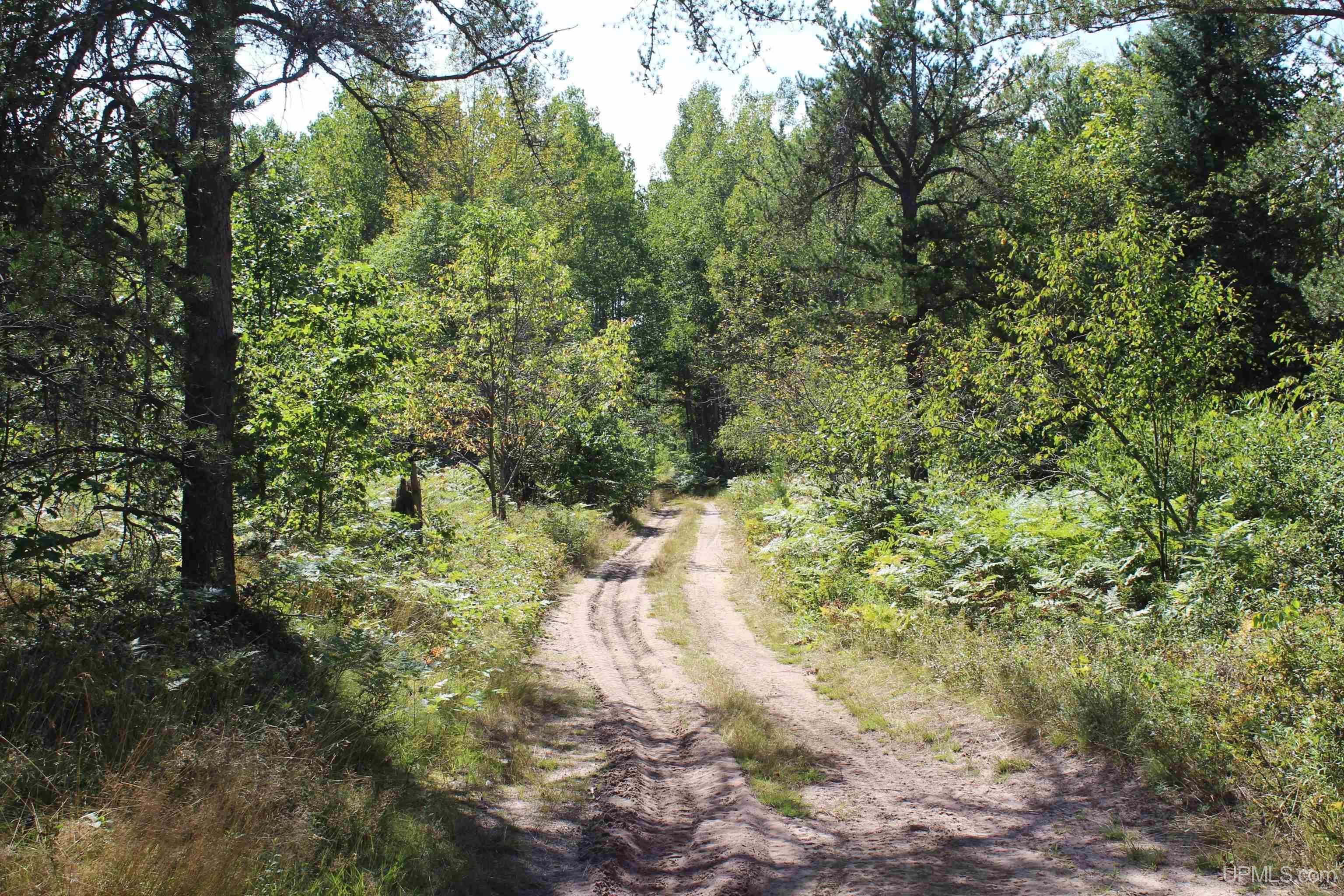 MLS 50153186 Large photo number 16 