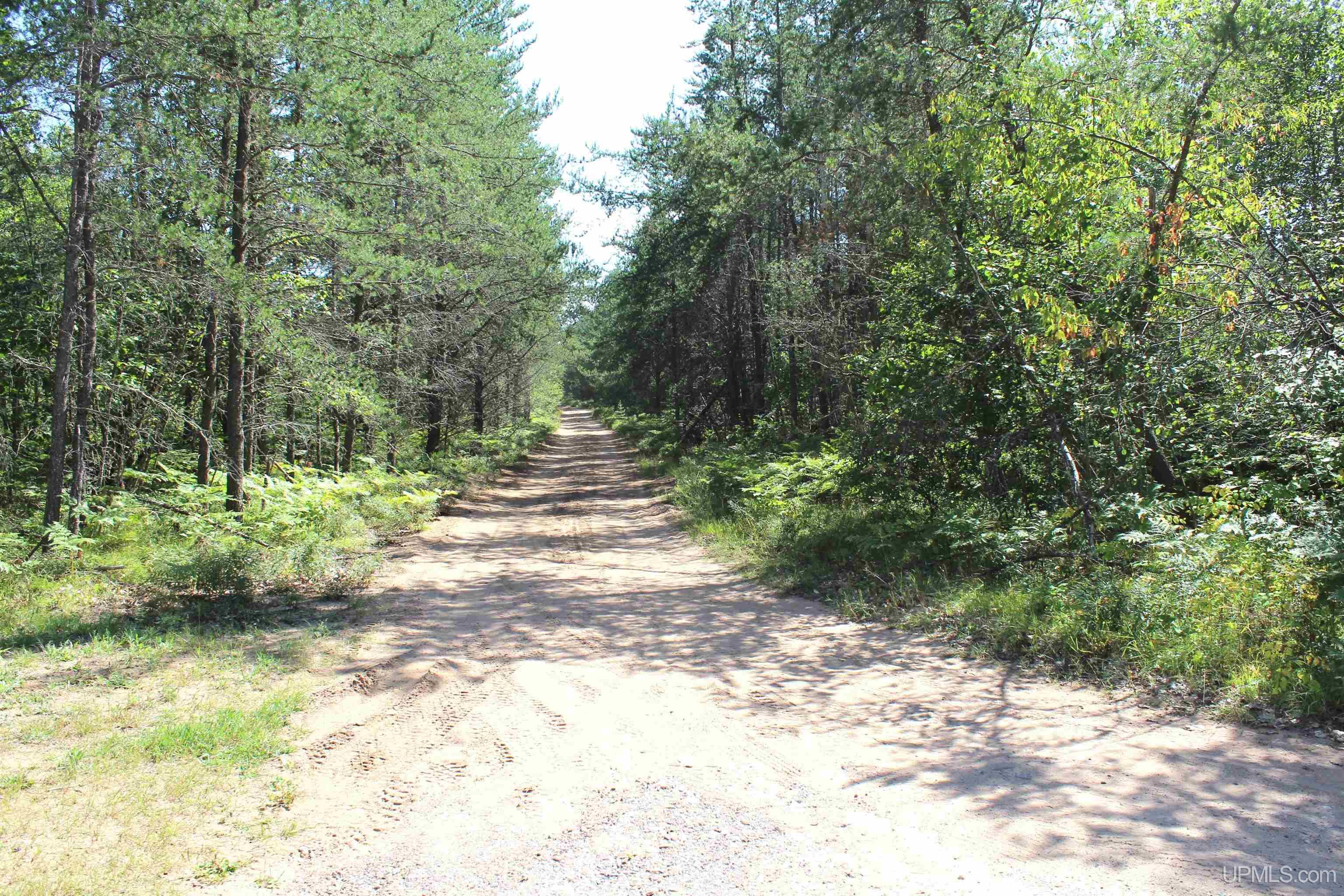 MLS 50153186 Large photo number 20 