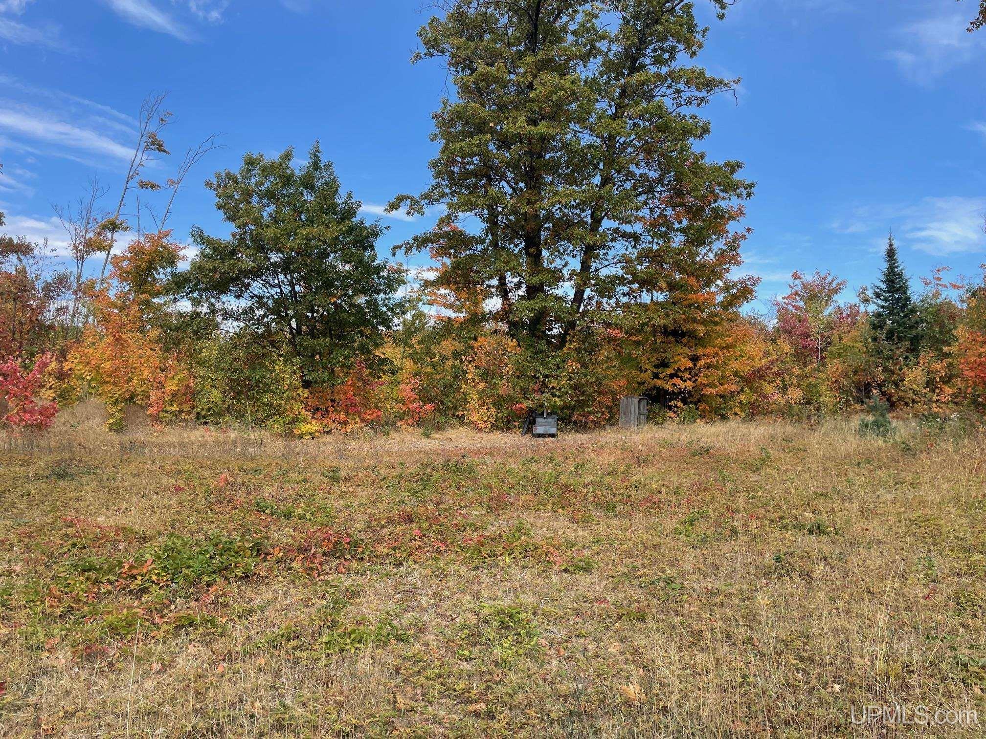 MLS 50154652 Large photo number 2 
