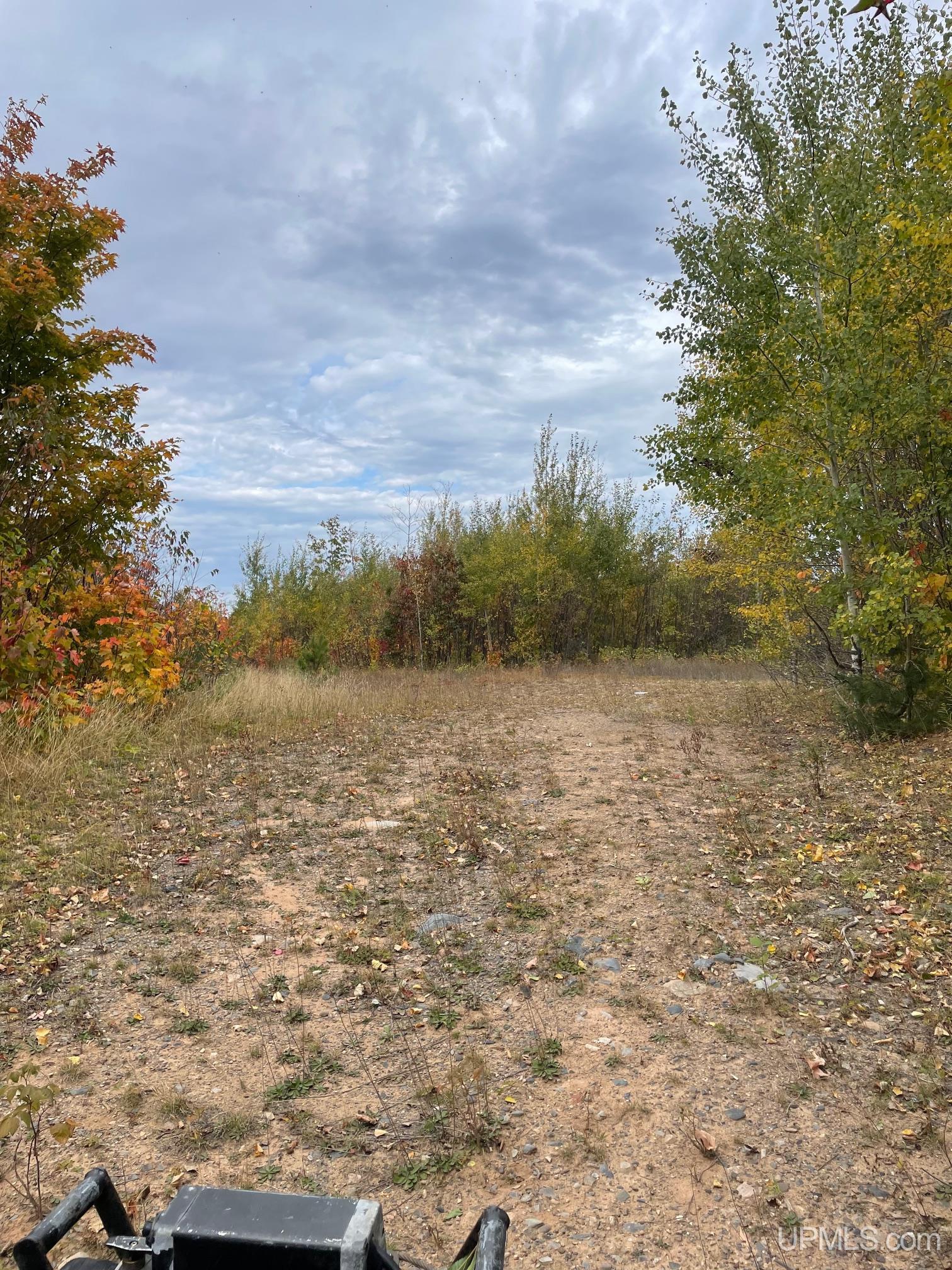 MLS 50154652 Large photo number 5 
