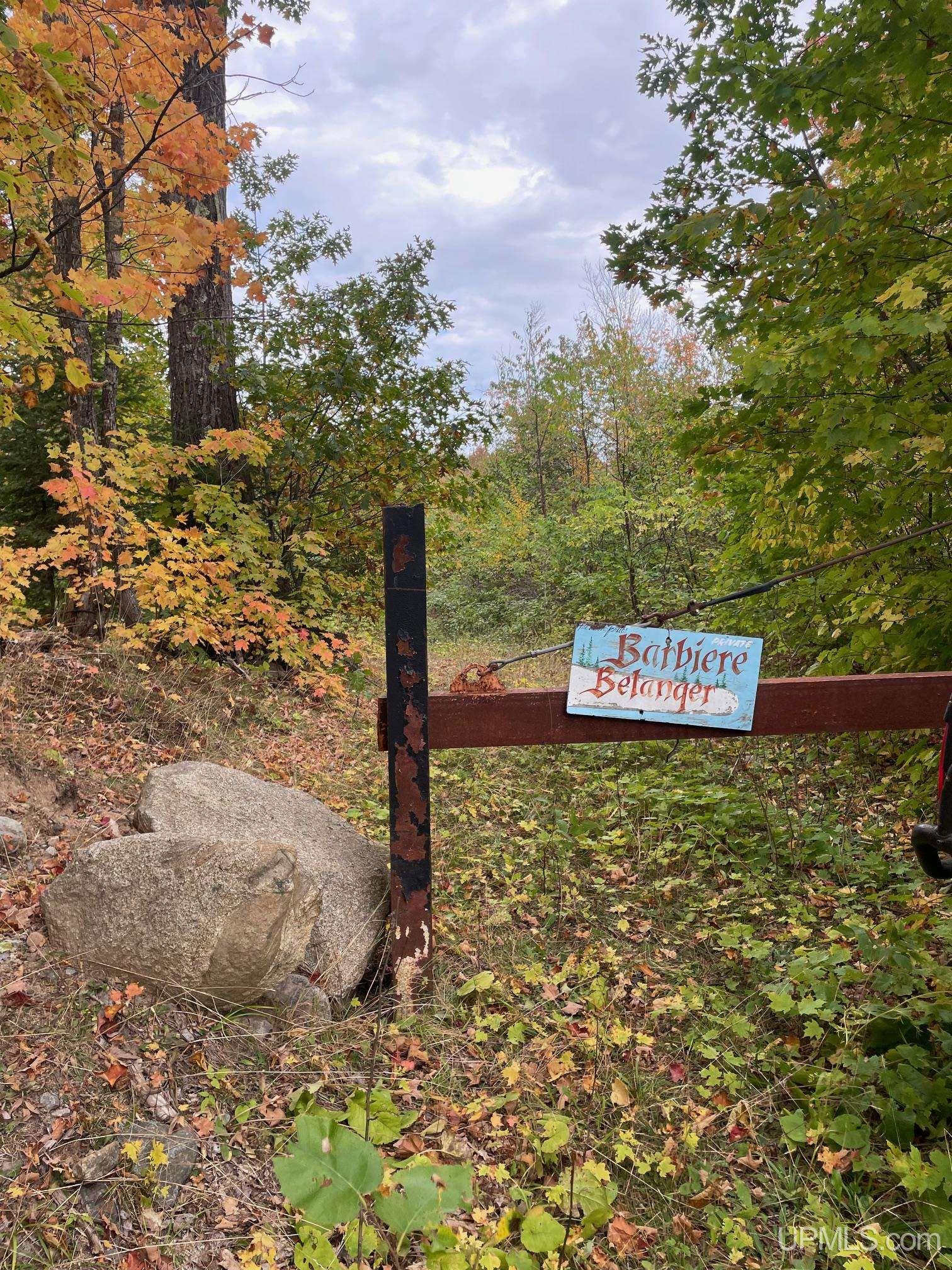 MLS 50154652 Large photo number 6 