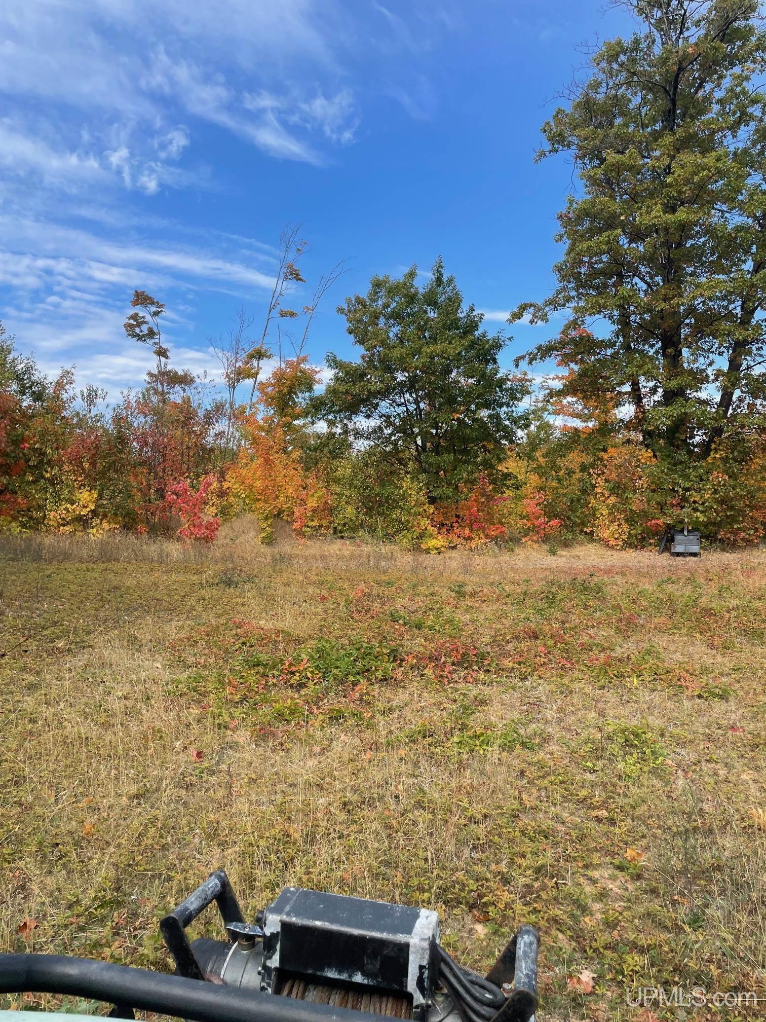 MLS 50154652 Large photo number 10 