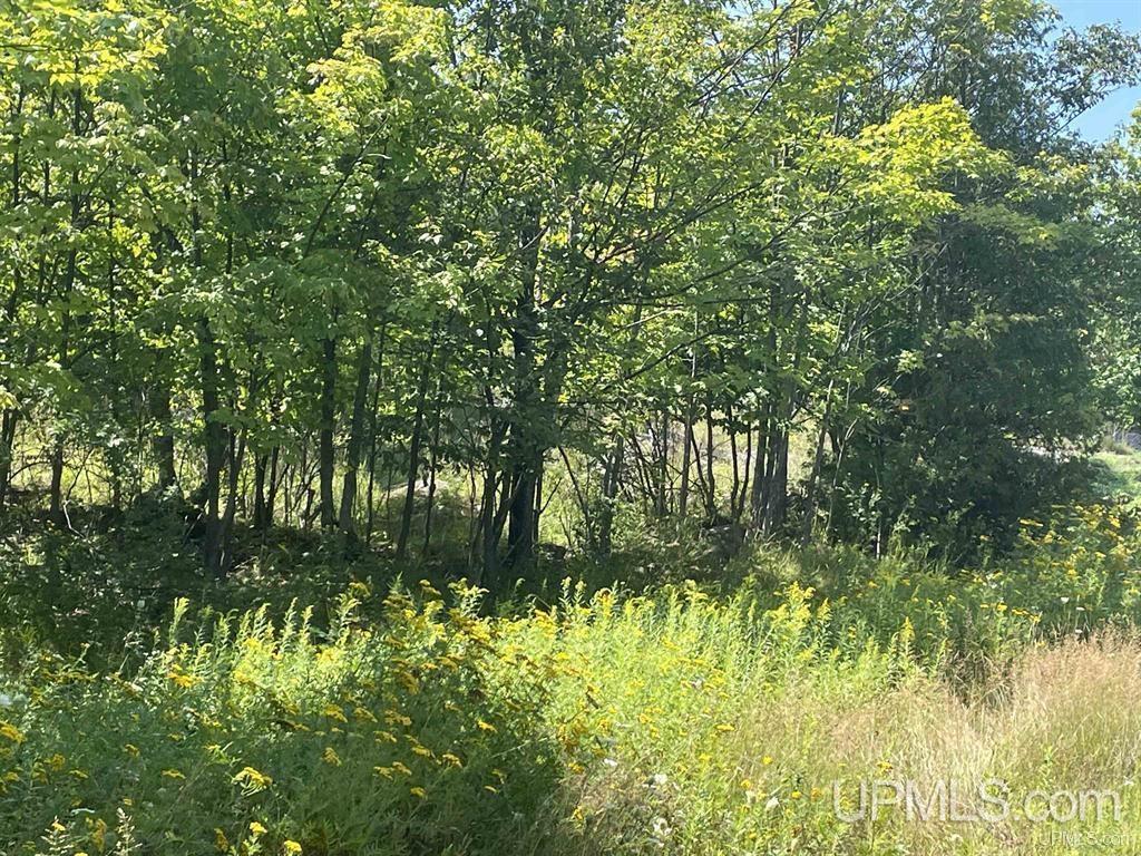 Land Listing MLS Number 50154928