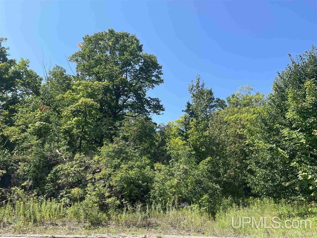 MLS 50154928 Large photo number 3 
