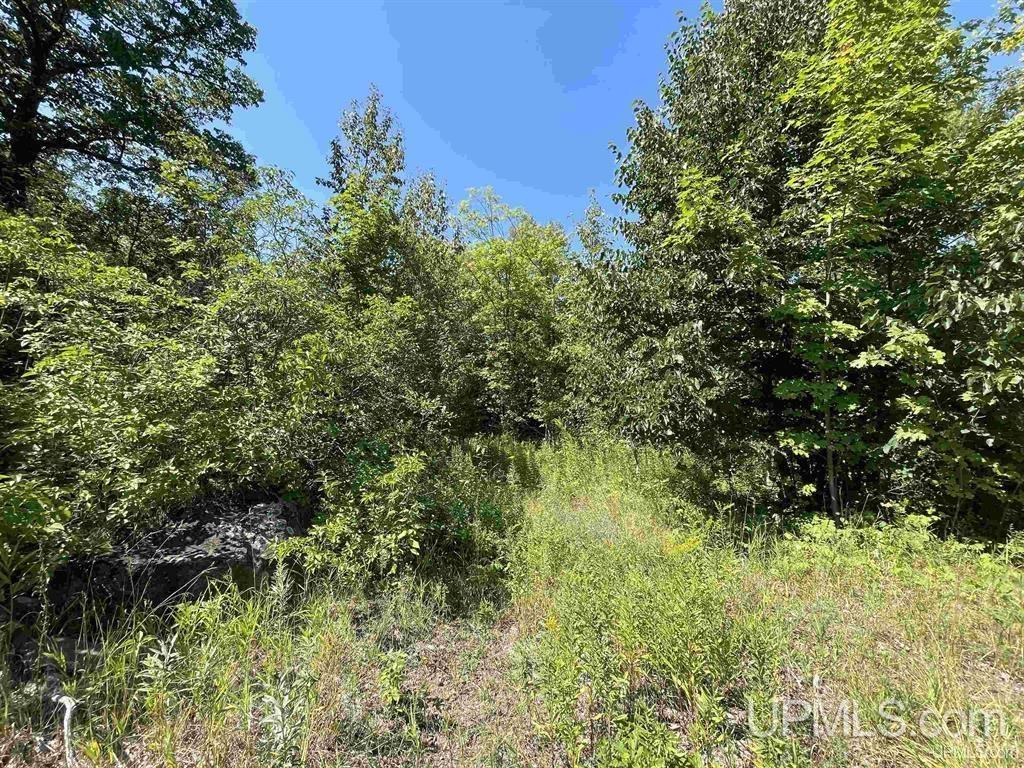MLS 50154928 Large photo number 4 